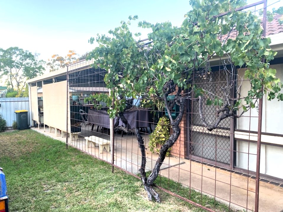 4-bedroom house at 18 GLEN STREET, Warren NSW 2824, Warren, New South Wales