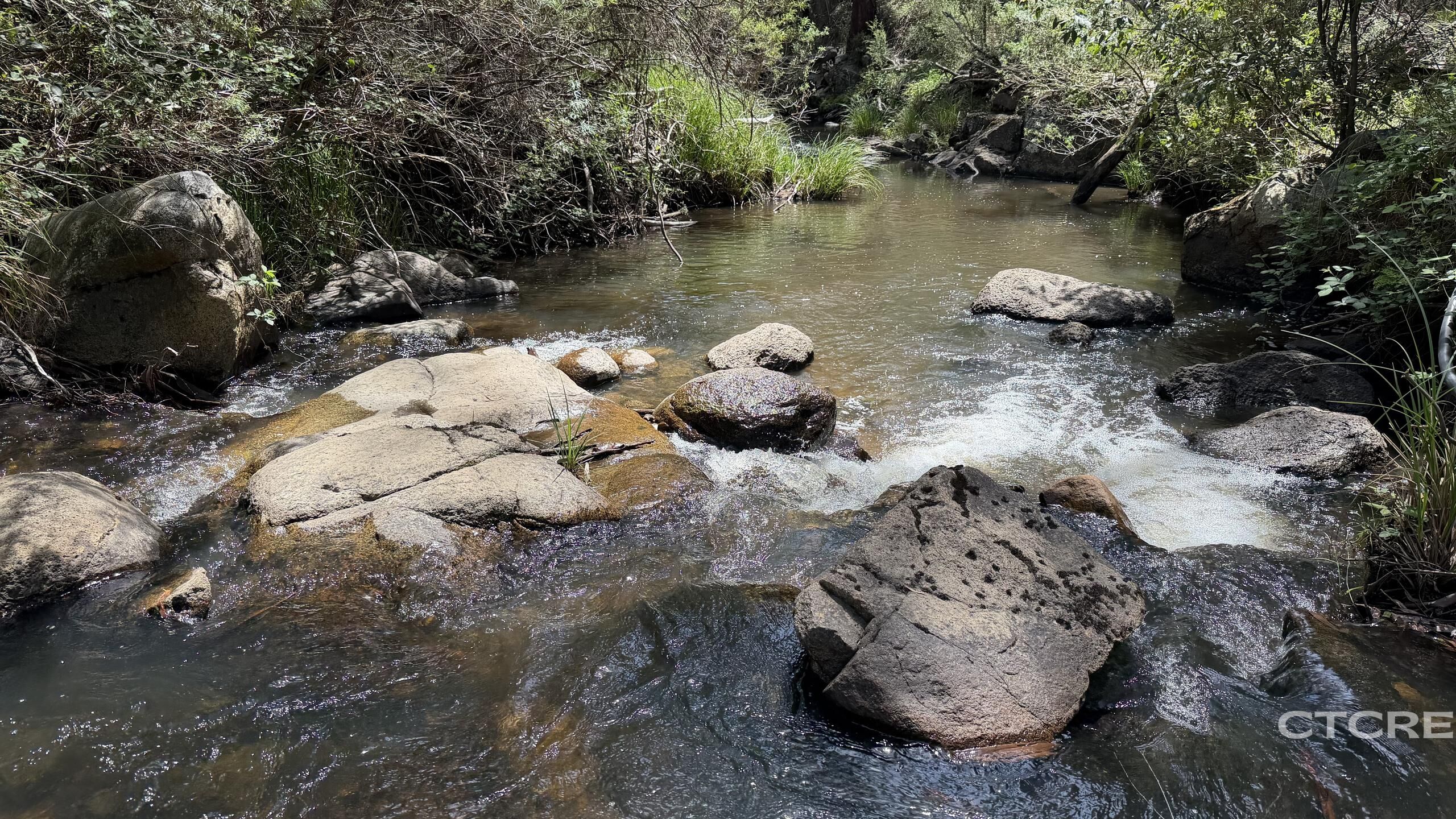 2-bedroom house at 1259 Mckillops Road, Bonang, VIC 3888, East Gippsland, Victoria