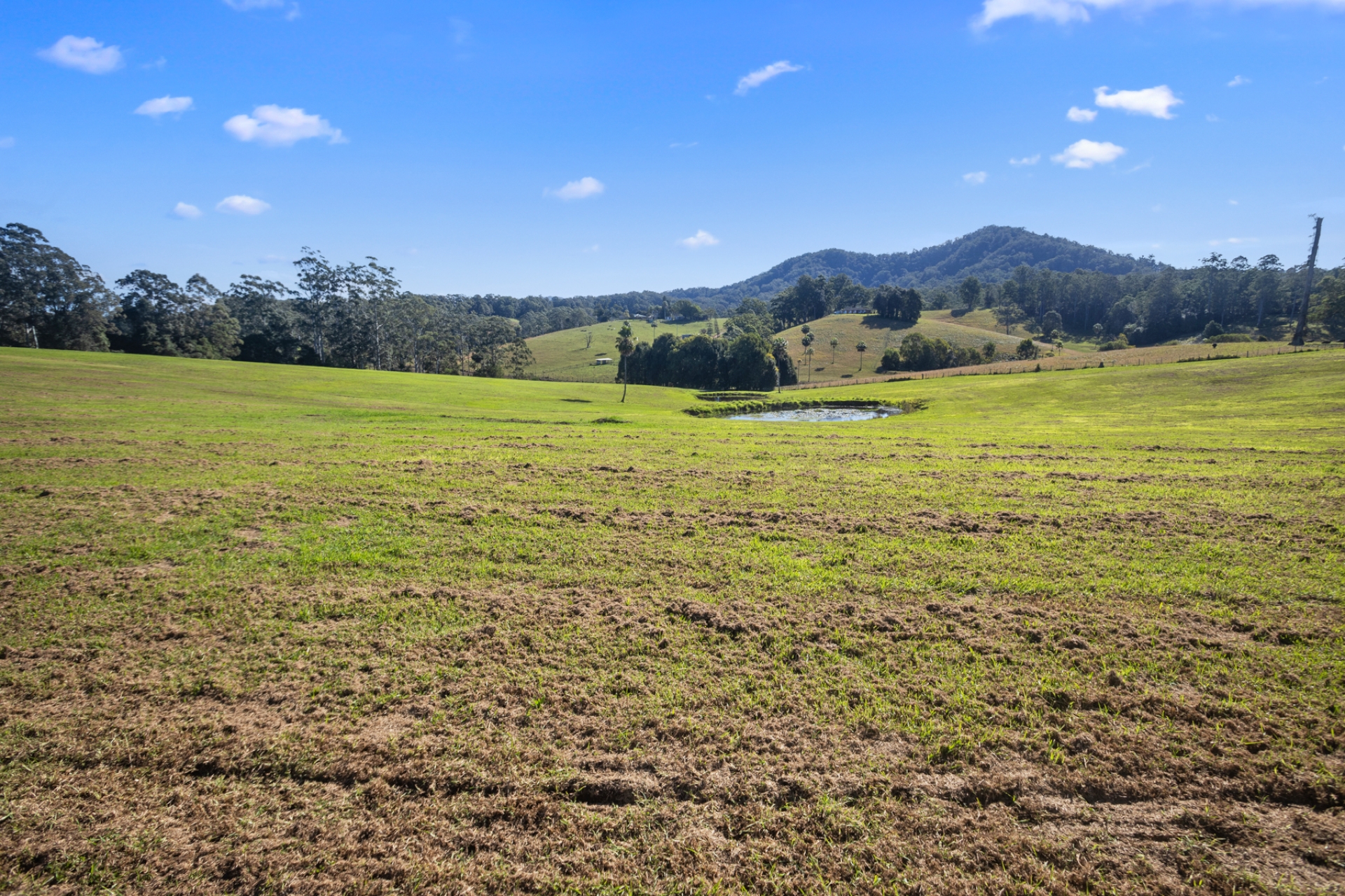 Lot 6 Soldier Settlers Road, Newee Creek, Nsw, 2447 - Image 4