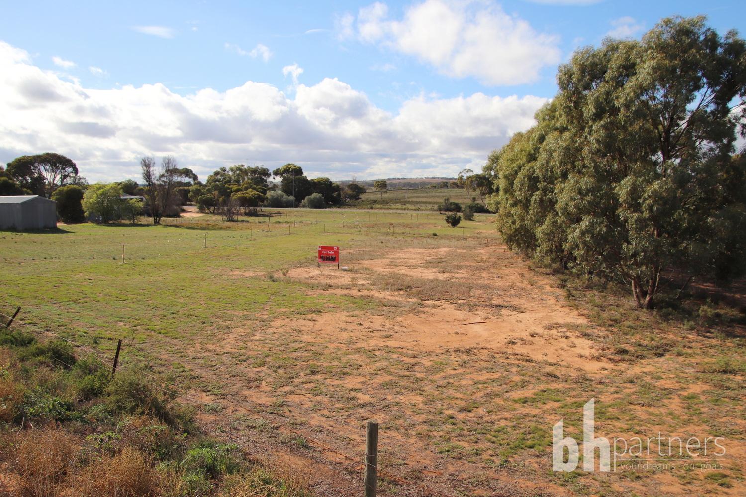 145 Dollard Avenue, Mannum, Sa, 5238 - Image 3