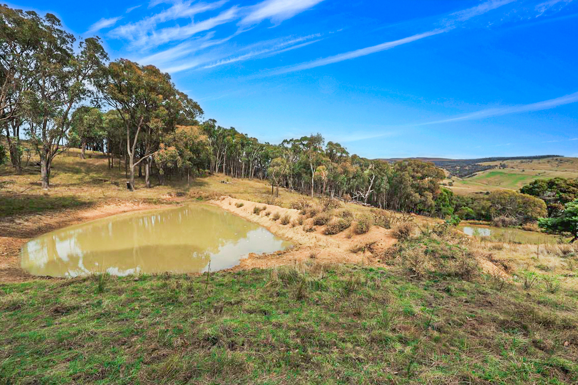 Lot 3 Batlow Road, Tumut, Nsw, 2720 - Image 5