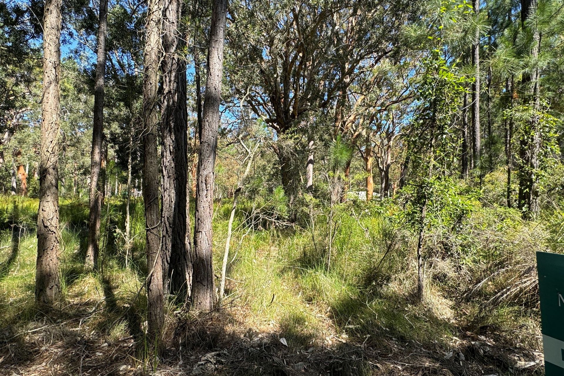 13 Nardoo Street, Pindimar, Nsw, 2324 - Image 2