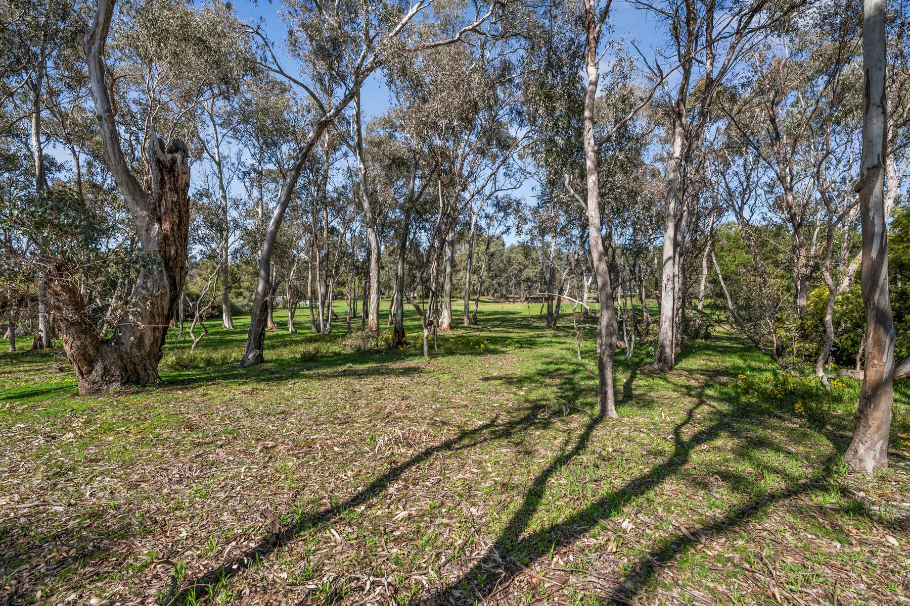 158 Sinclairs Road, Strathfieldsaye, Vic, 3551 - Image 5