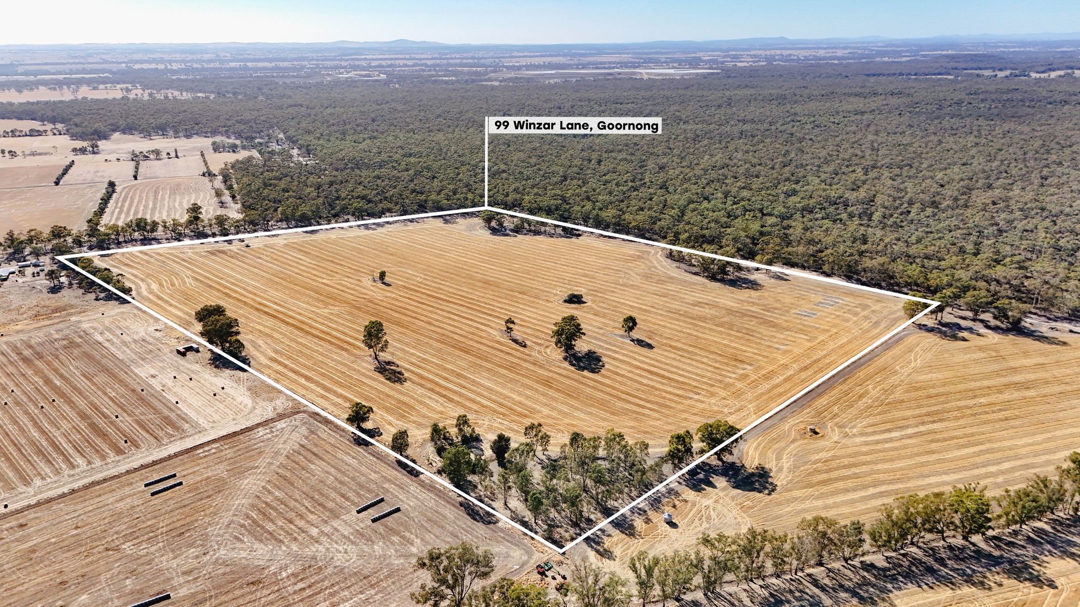 99 Winzar Lane, Goornong, Vic, 3557 - Image 1