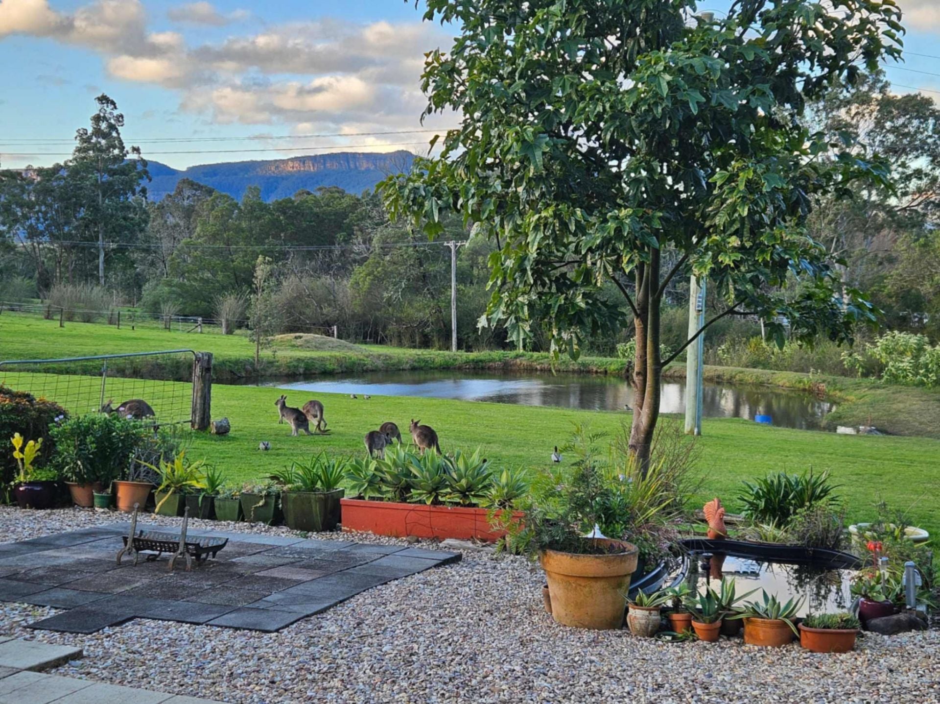 60 Mount Scanzi Road, Kangaroo Valley, Nsw, 2577 - Image 7