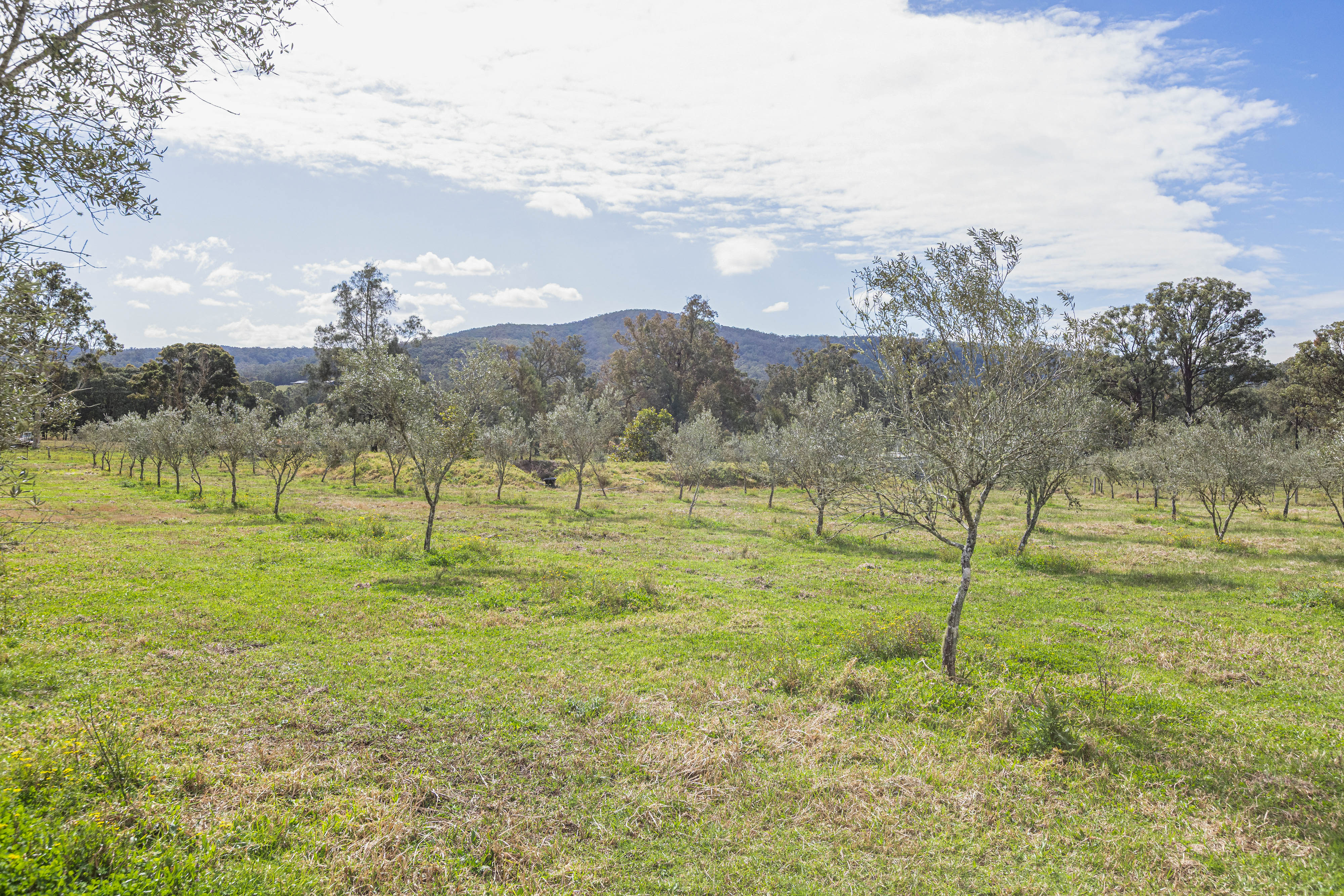 4-bedroom house at 124 Duns Creek Road, Duns Creek, Nsw, 2321, Port Stephens, New South Wales