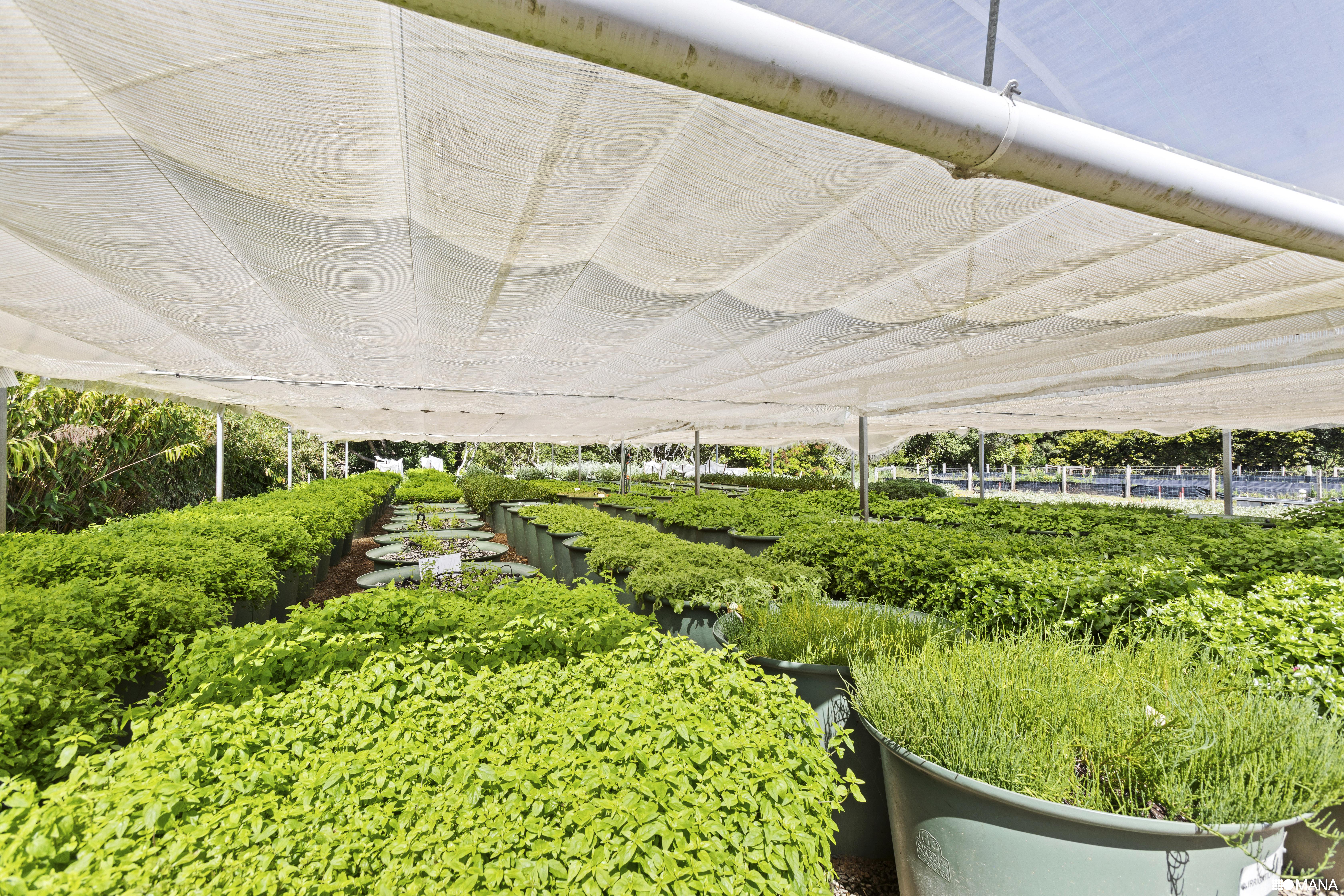 4-bedroom house at 67 Howards Road, Burringbar, NSW 2483, Tweed, New South Wales