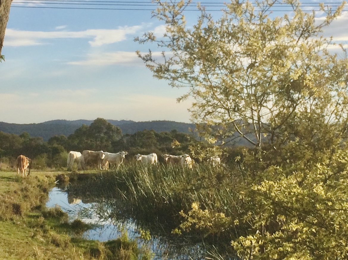 9-bedroom house at 63 Ghilkes Road, Somersby, NSW 2250, , New South Wales