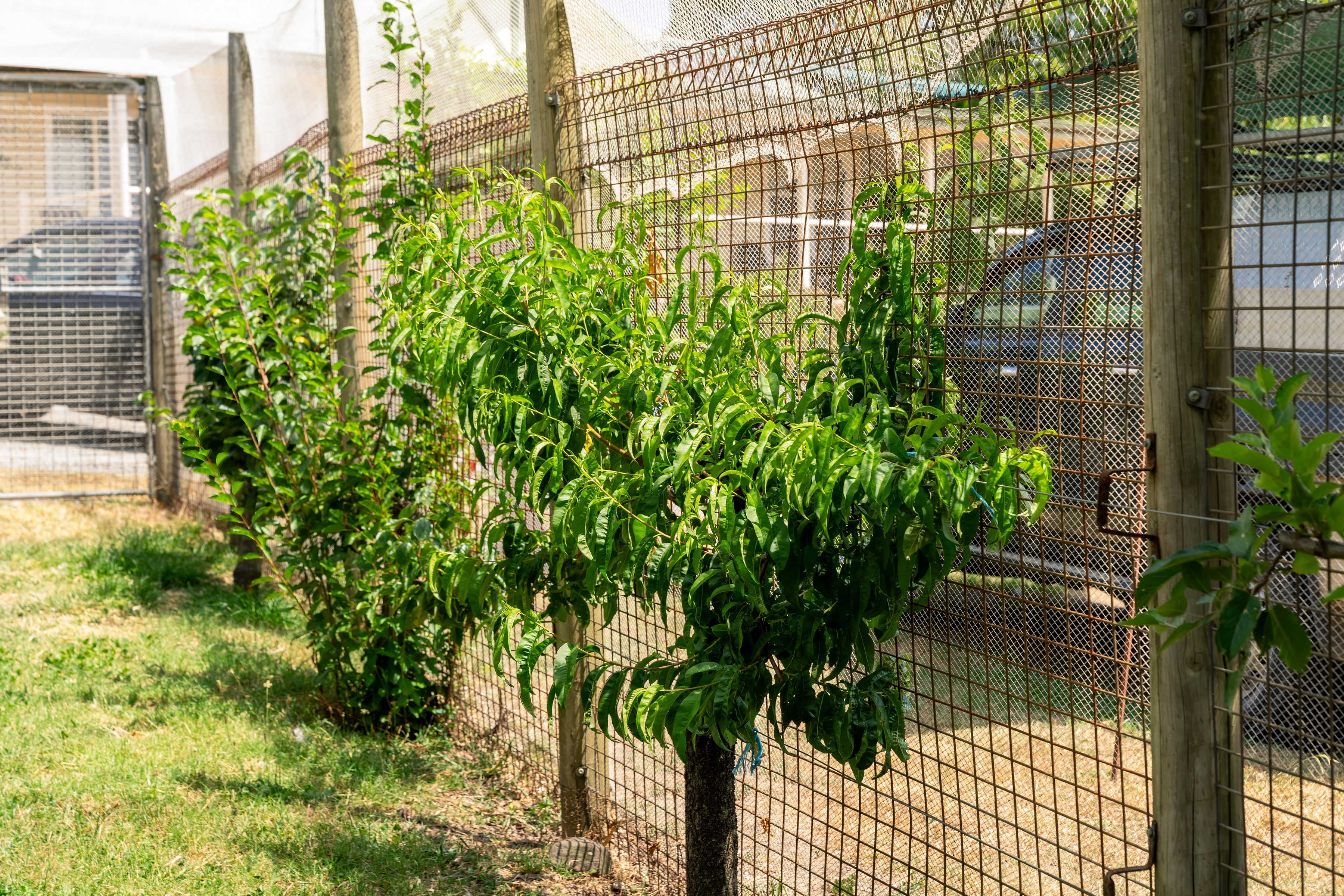 3-bedroom house at 318 RUBICON ROAD, Rubicon VIC 3712, Murrindindi, Victoria