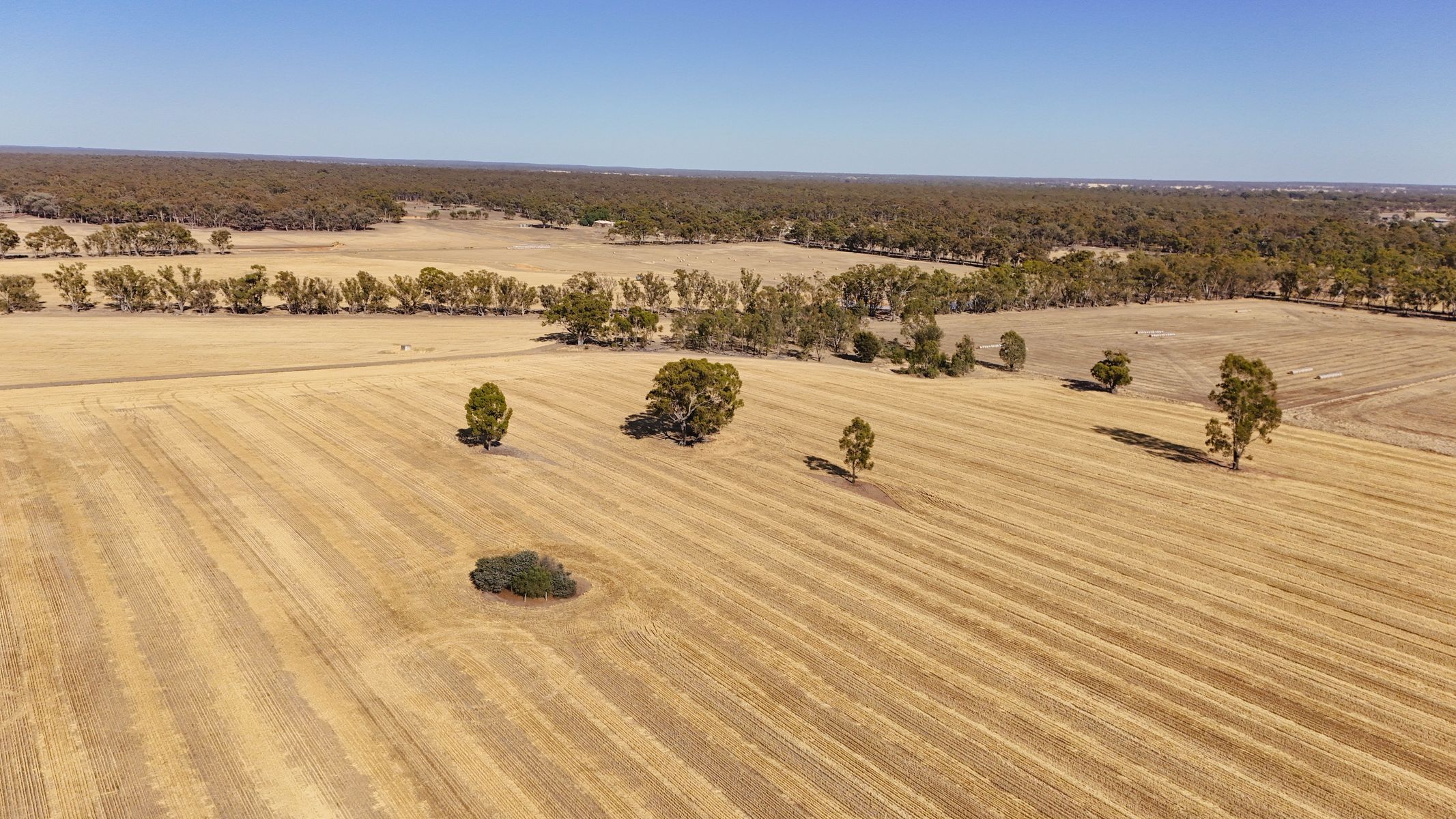 99 Winzar Lane, Goornong, Vic, 3557 - Image 5
