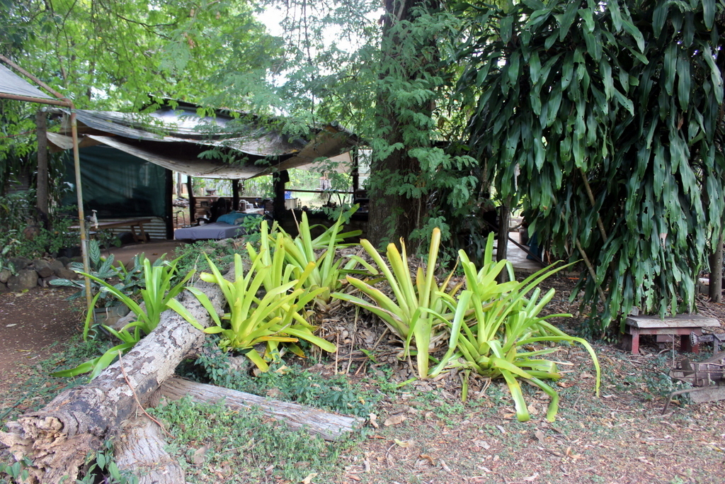2125-2159 Endeavour Valley Rd, Cooktown, Qld, 4895 - Image 7
