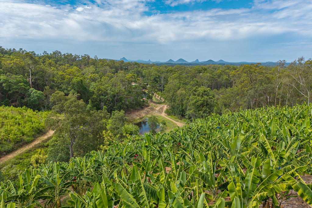 349 Jackson Road, Wamuran, Qld, 4512 - Image 5