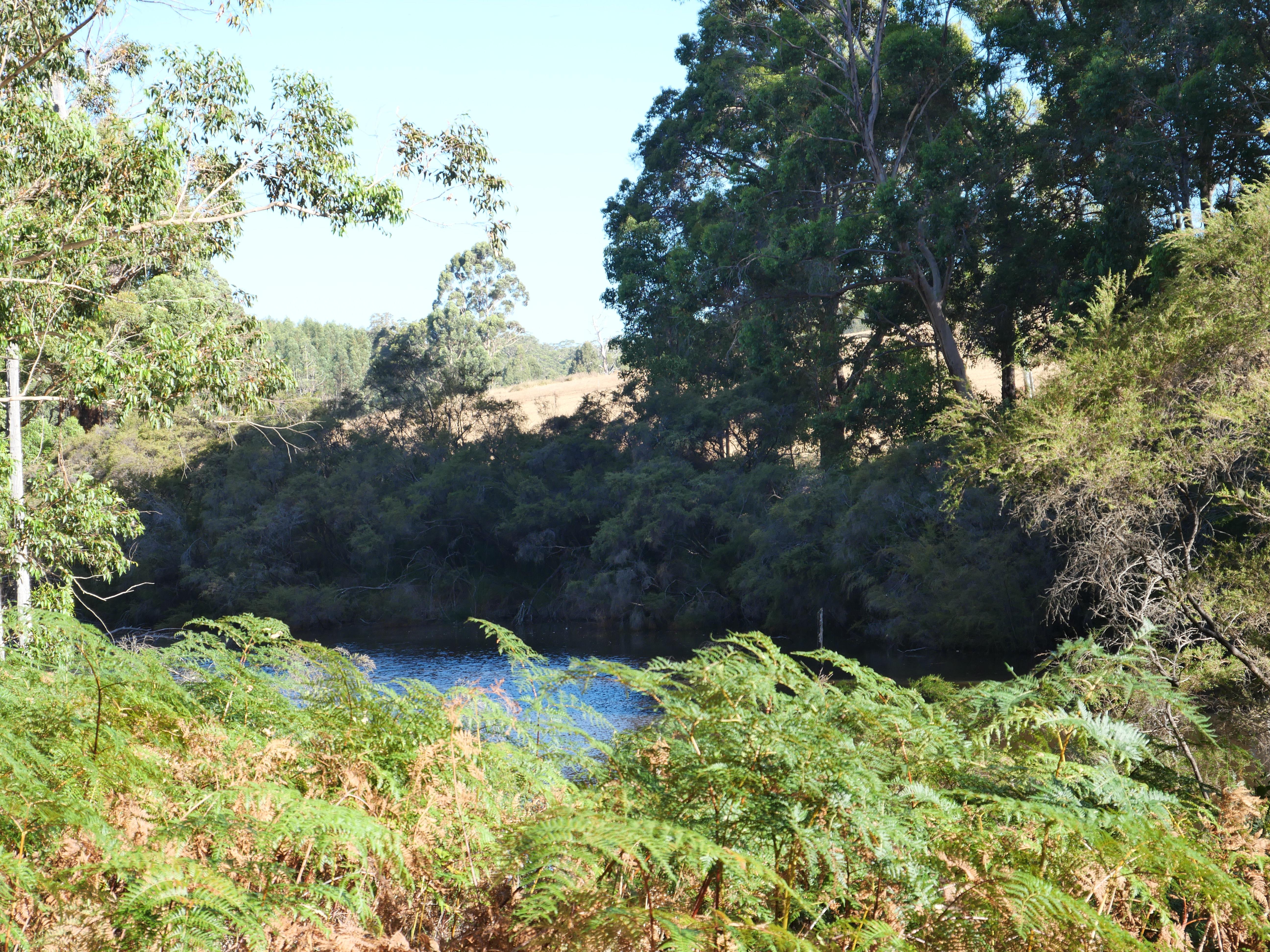 1-bedroom unit at 61 Hayes Road, East Nannup, WA 6275, Nannup, Western Australia