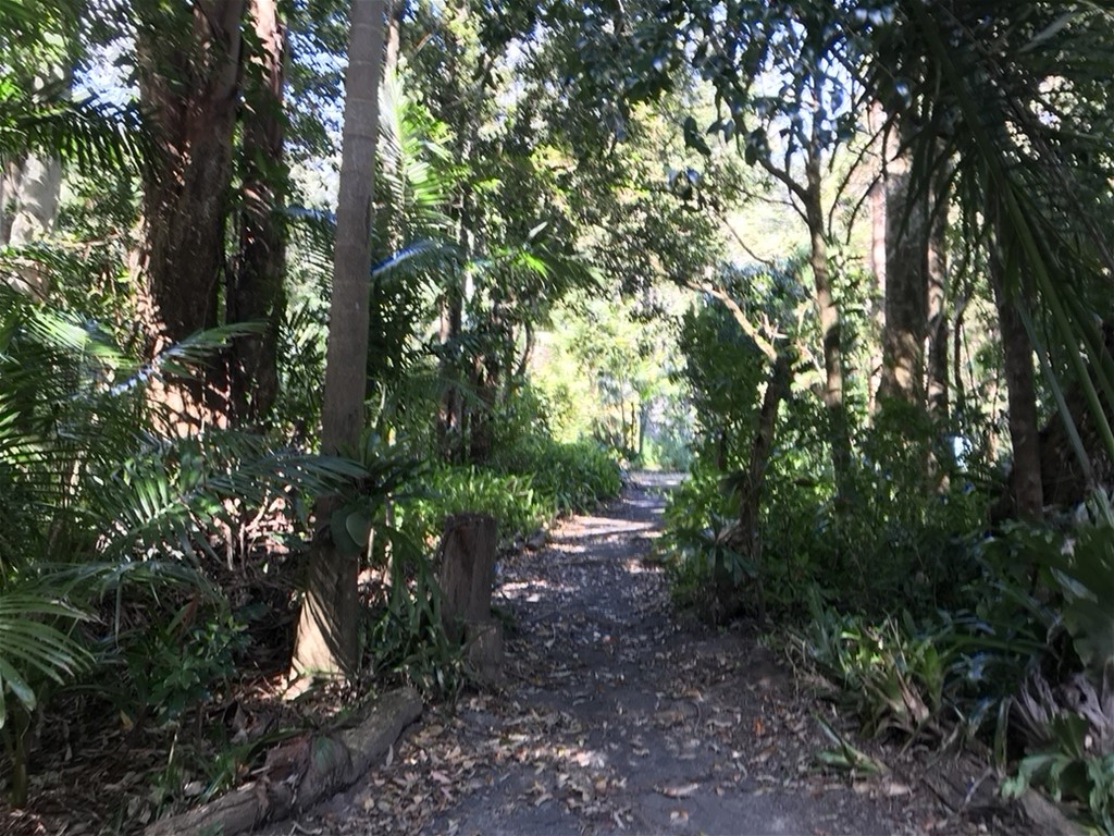 1-bedroom unit at 904 Blue Knob Road, Blue Knob, NSW 2480, Lismore, New South Wales