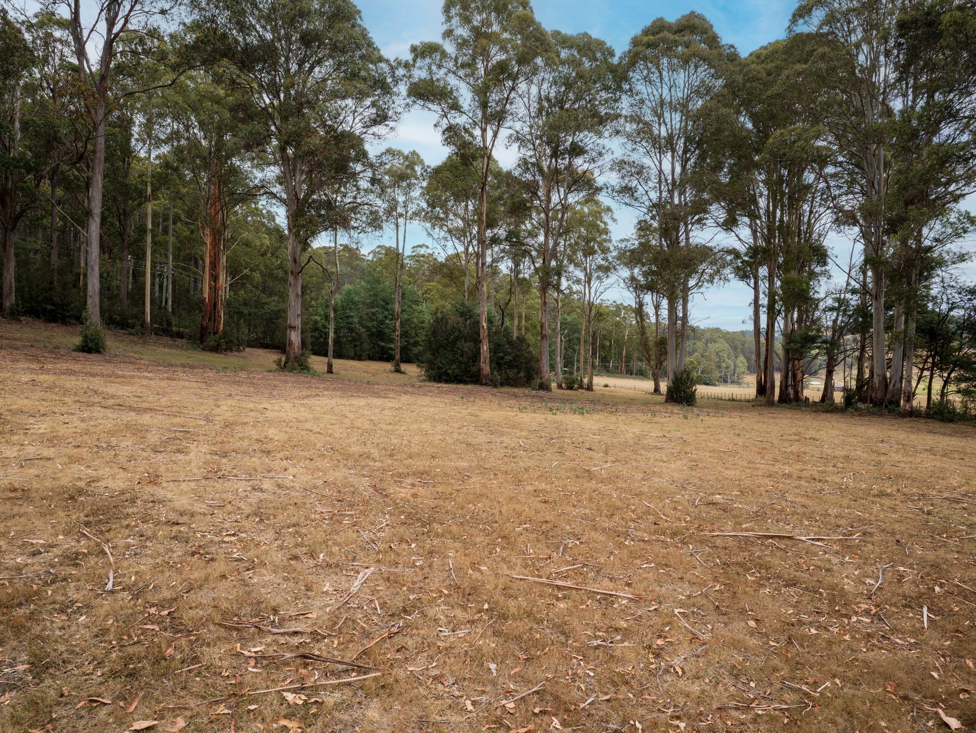 1-bedroom house at 167 LAKE BARRINGTON ROAD, Wilmot TAS 7310, Kentish, Tasmania