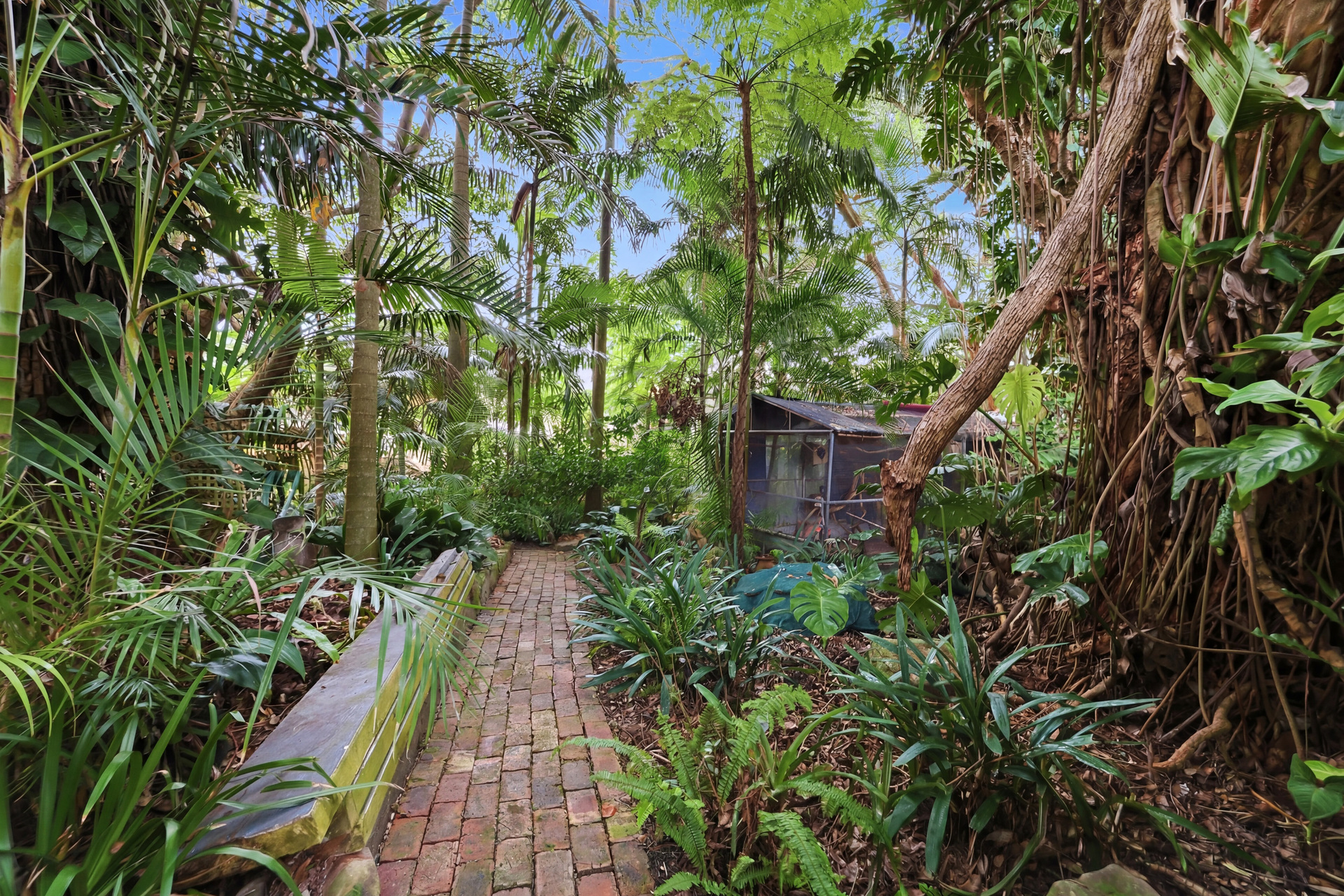 3-bedroom house at 31 Norfolk Street, The Entrance, NSW 2261, Central Coast (Nsw), New South Wales