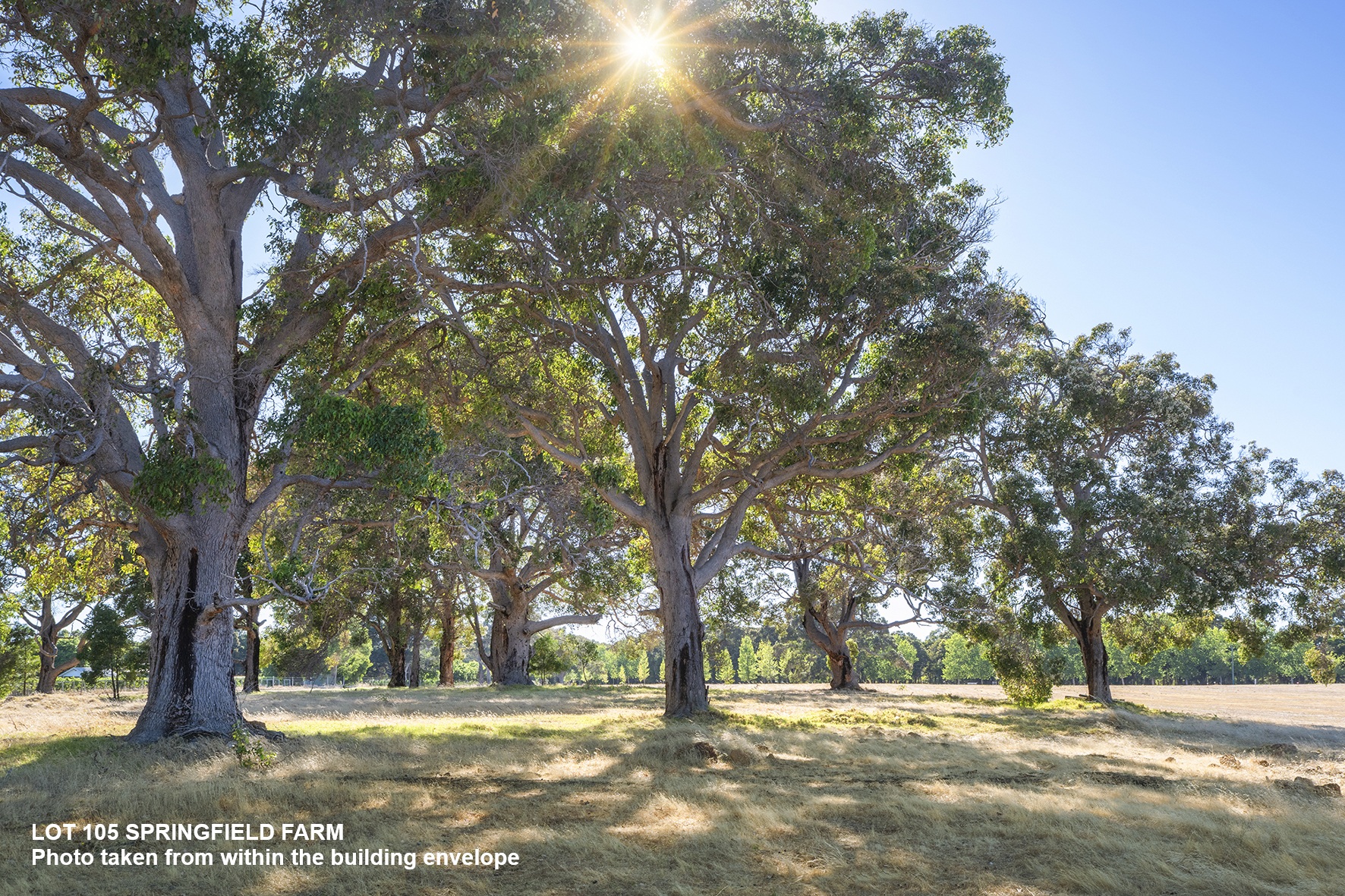 105 Springfield Farm, Yallingup, Wa, 6282 - Image 3