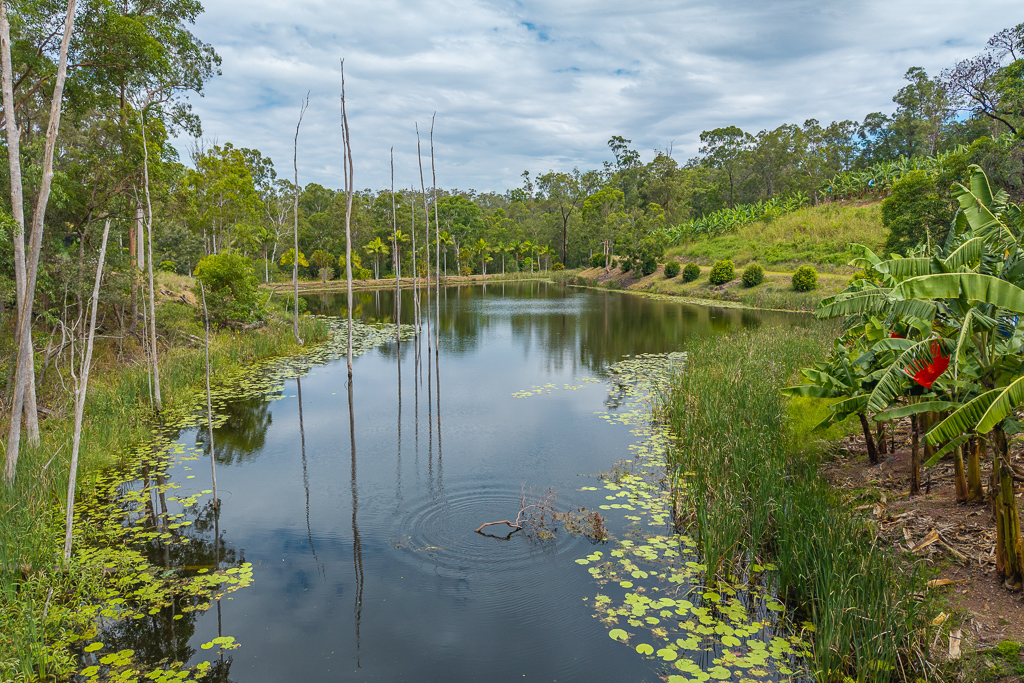 349 Jackson Road, Wamuran, Qld, 4512 - Image 9