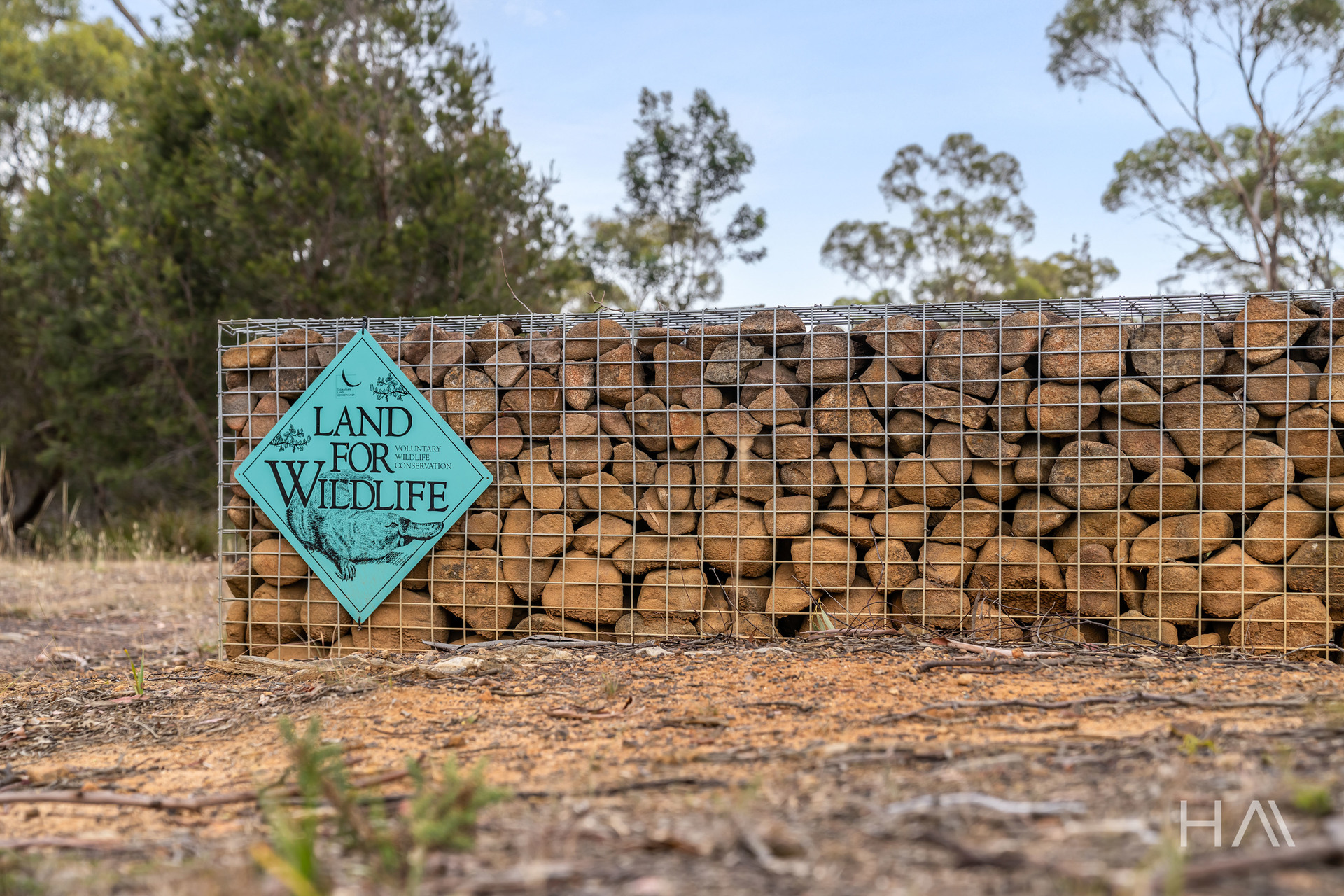 Lot 50 Springs Road, Swansea, Tas, 7190 - Image 3