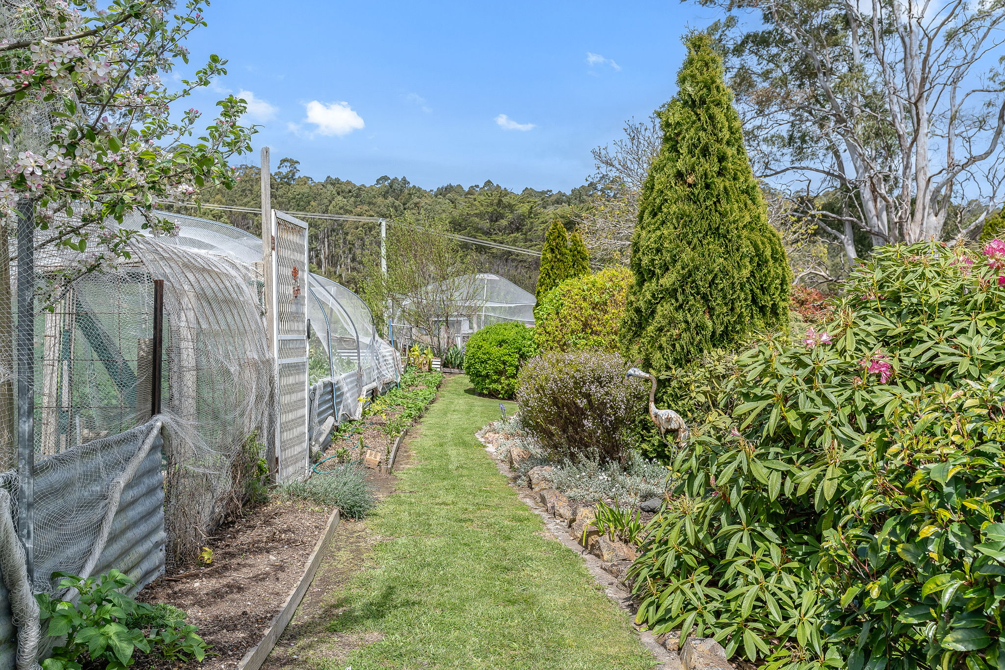5-bedroom house at 5 Joyce Street, Branxholm, TAS 7261, Dorset, Tasmania