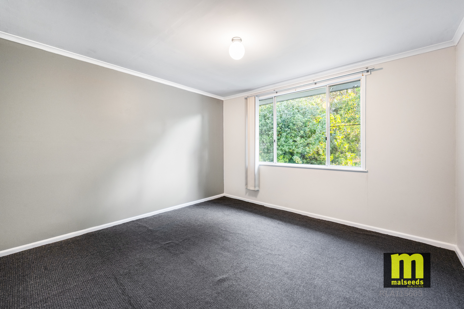 3-bedroom house at 29765 Princes Highway, Millicent, SA 5280, Wattle Range, South Australia