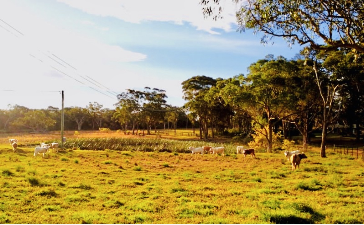 9-bedroom house at 63 Ghilkes Road, Somersby, NSW 2250, , New South Wales