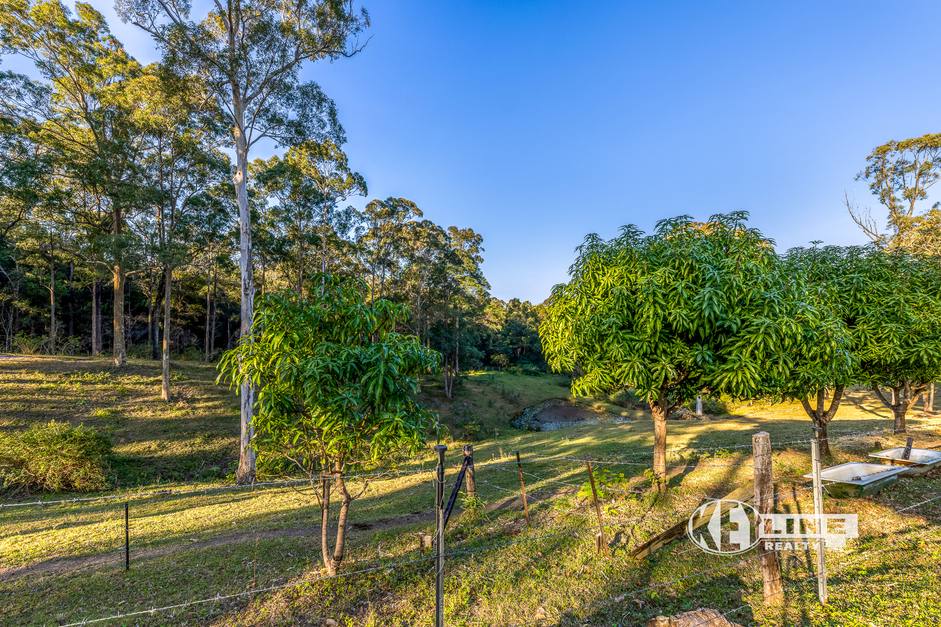 532 Wilson Road, Tanawha, QLD 4556 - Image 4