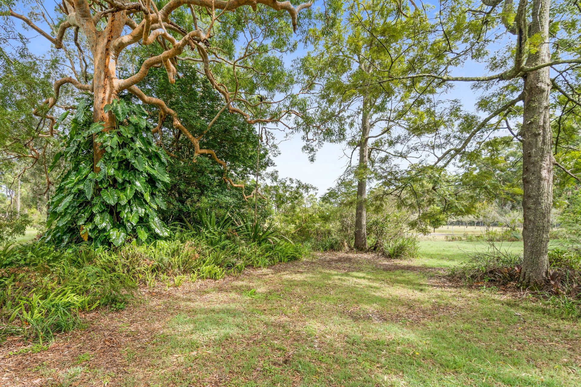 3-bedroom house at 87-91 Koree Street, Pindimar, NSW 2324, Mid-Coast, New South Wales