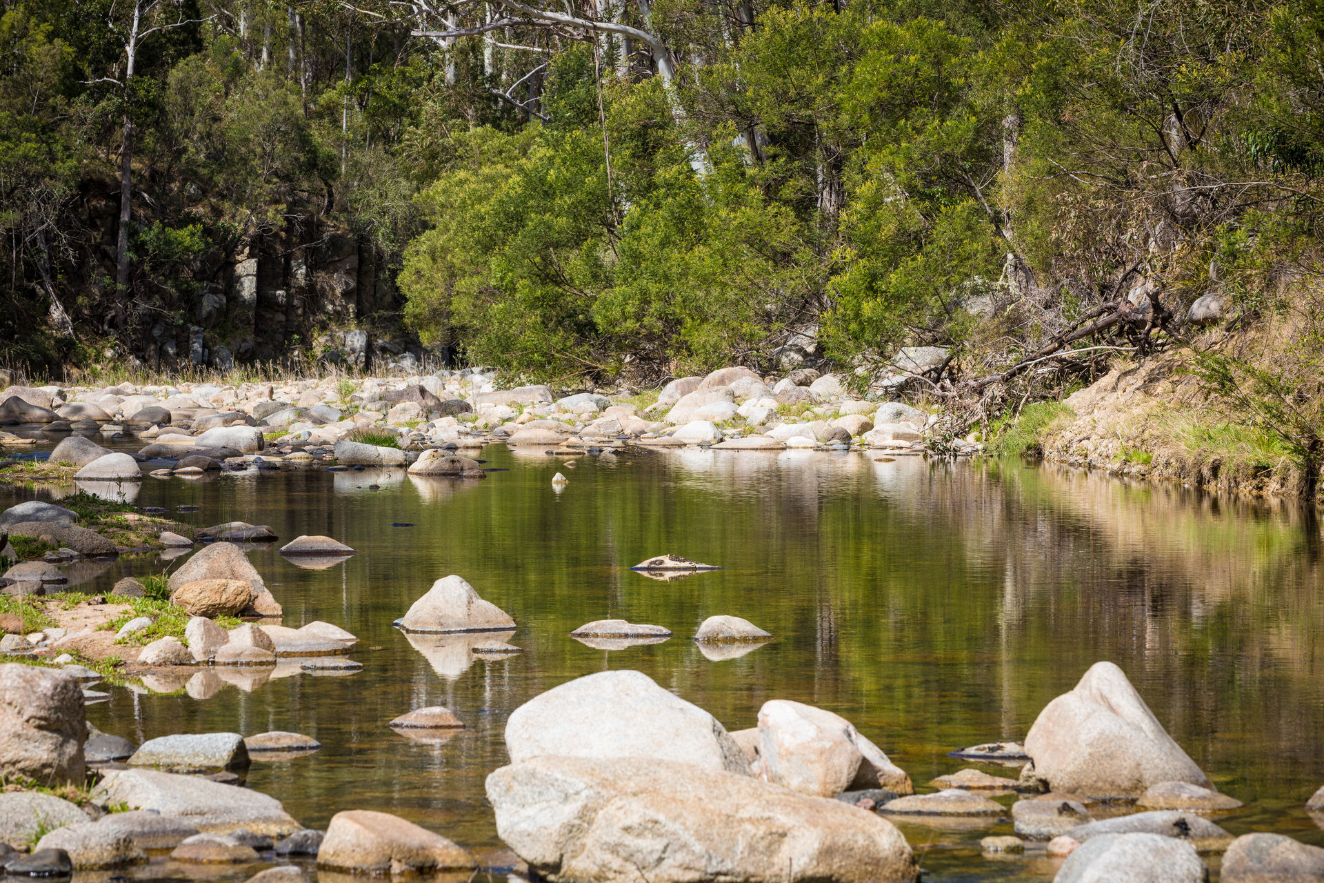 4-bedroom house at 1838 BIG JACK MOUNTAIN ROAD, Rocky Hall NSW 2550, Bega Valley, New South Wales