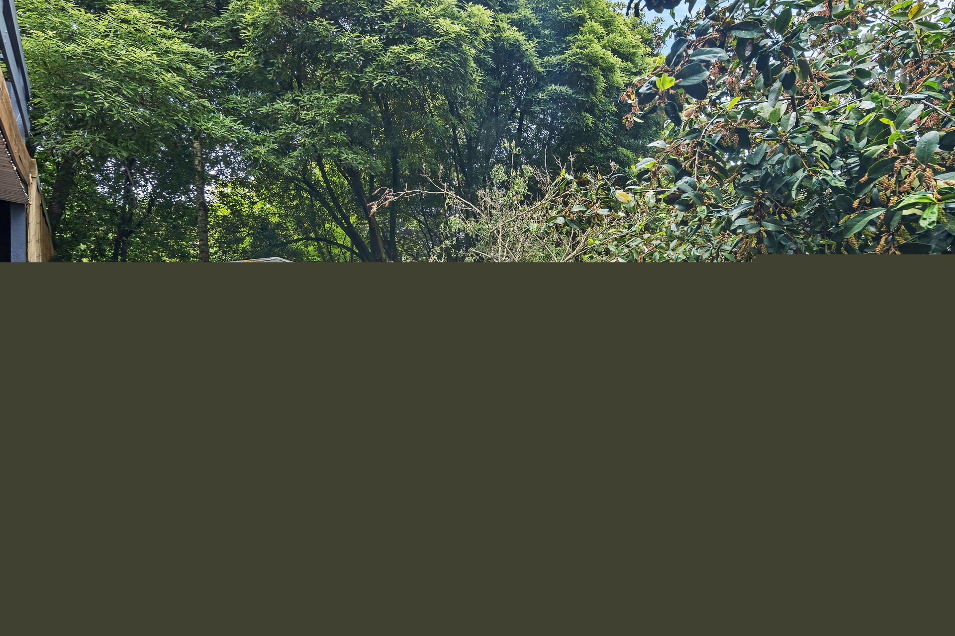 4-bedroom house at 2987 Gembrook-Launching Place Road, Gembrook, VIC 3783, Cardinia, Victoria