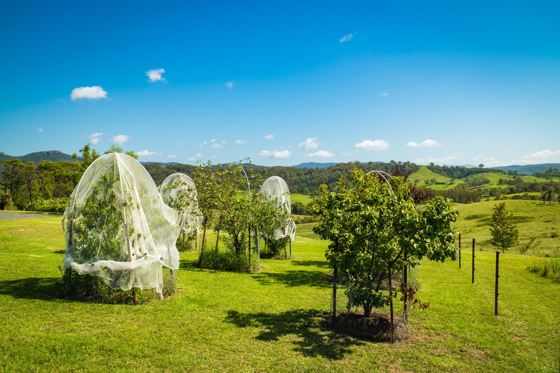 4-bedroom house at 86 Garfields Road, Numbugga, NSW 2550, Bega Valley, New South Wales