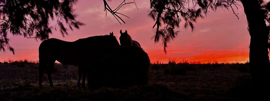 4-bedroom house at 249 The Point Road, Jervois, Sa, 5259, Murray Bridge, South Australia