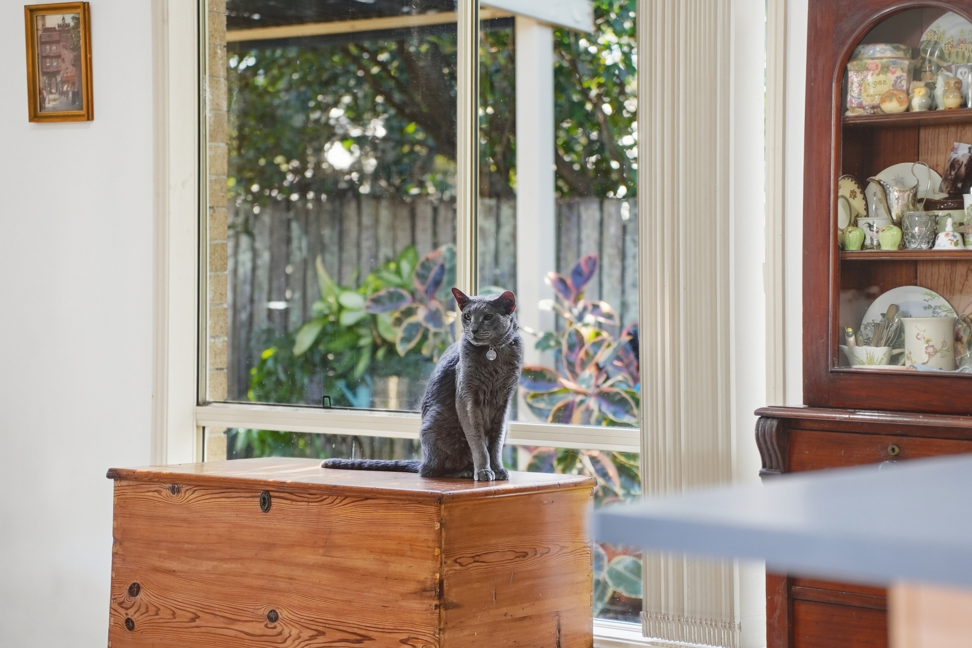 4-bedroom house at 46 CORAMBA STREET, Glenreagh NSW 2450, Clarence Valley, New South Wales