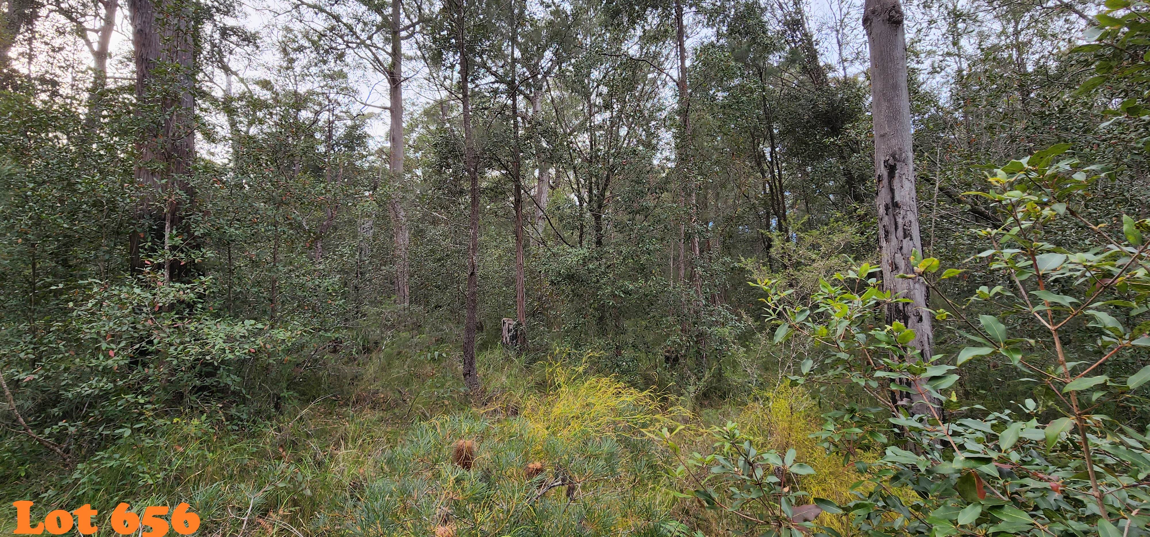 Lot 655,658,660-661, 663 Clarendon Cres, Basin View, Nsw, 2540 - Image 6