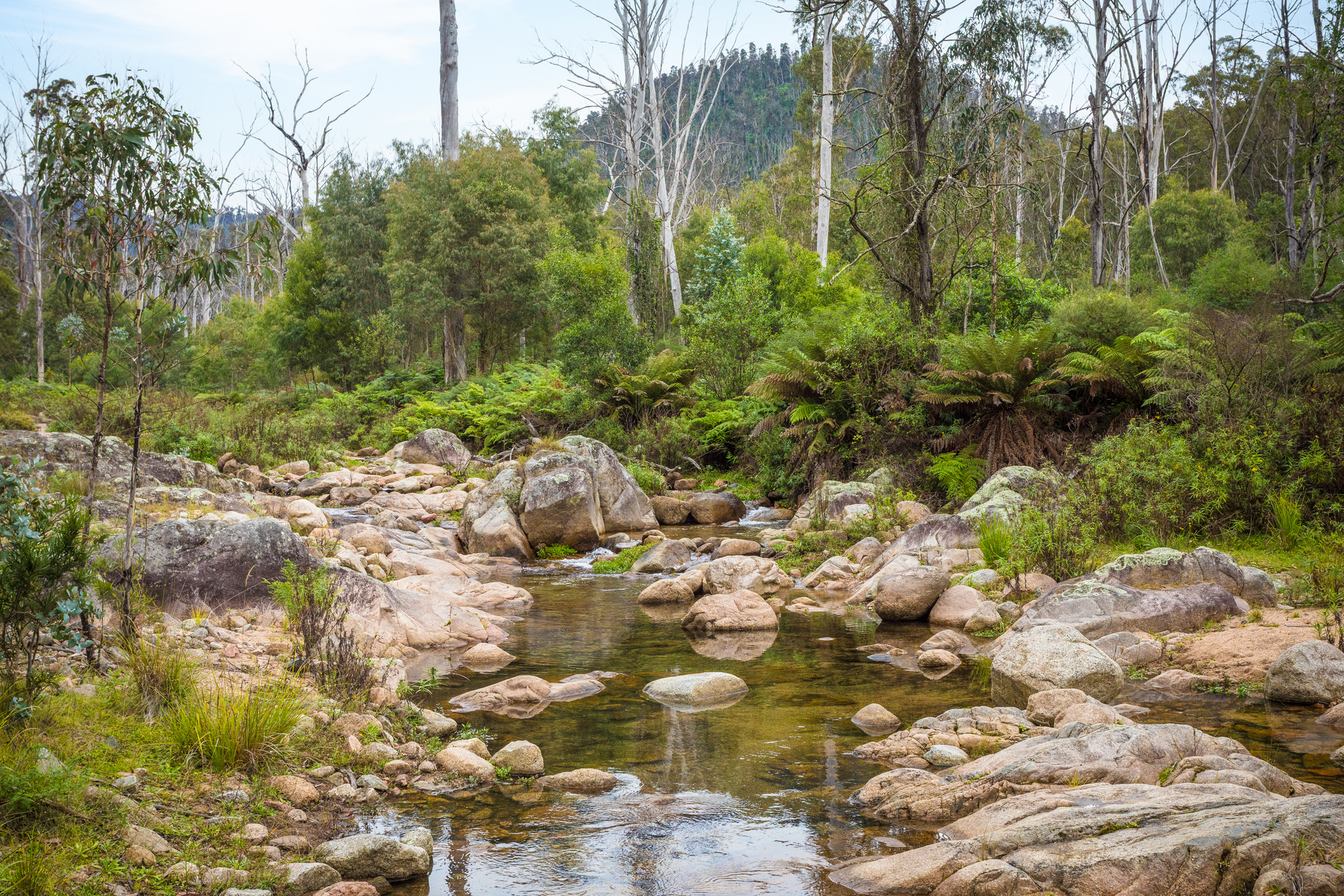 4-bedroom house at KOOROOL 1227 TANTAWANGALO MOUNTAIN ROAD, TANTAWANGALO NSW 2550, Bega Valley, New South Wales