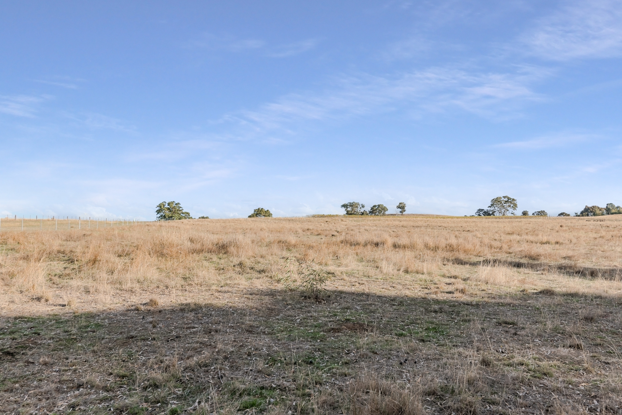 293 Adairs Lane, Heathcote, Vic, 3523 - Image 5