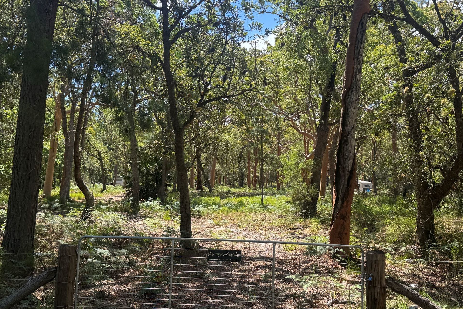 127 Koree Street, Pindimar, Nsw, 2324 - Image 5