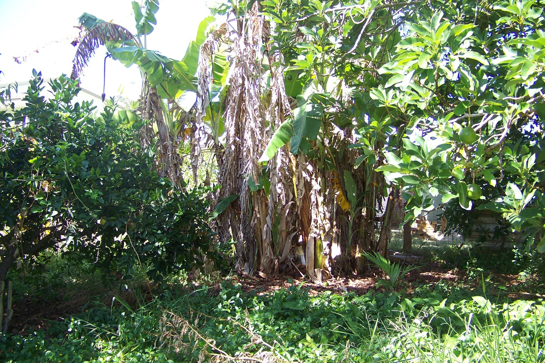 1-bedroom unit at 29 Pine Avenue, Lamb Island, QLD 4184, Redland, Queensland