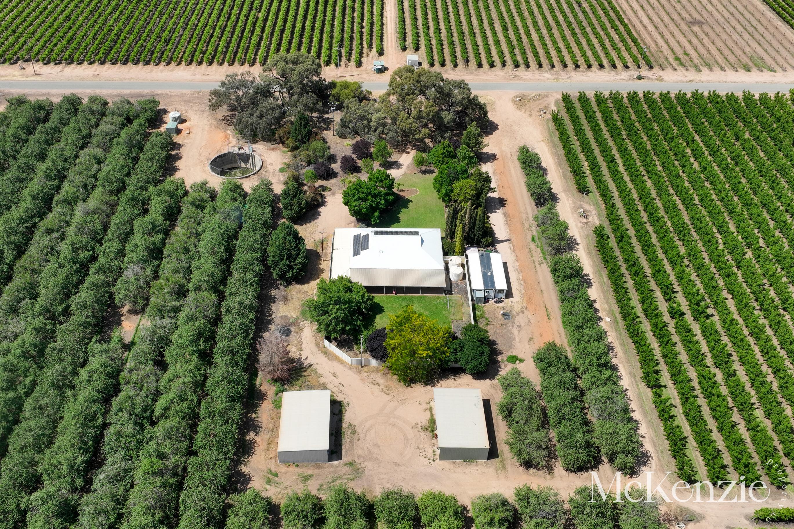 6-bedroom house at 23 Falcon Street, Renmark North, SA 5341, Renmark Paringa, South Australia