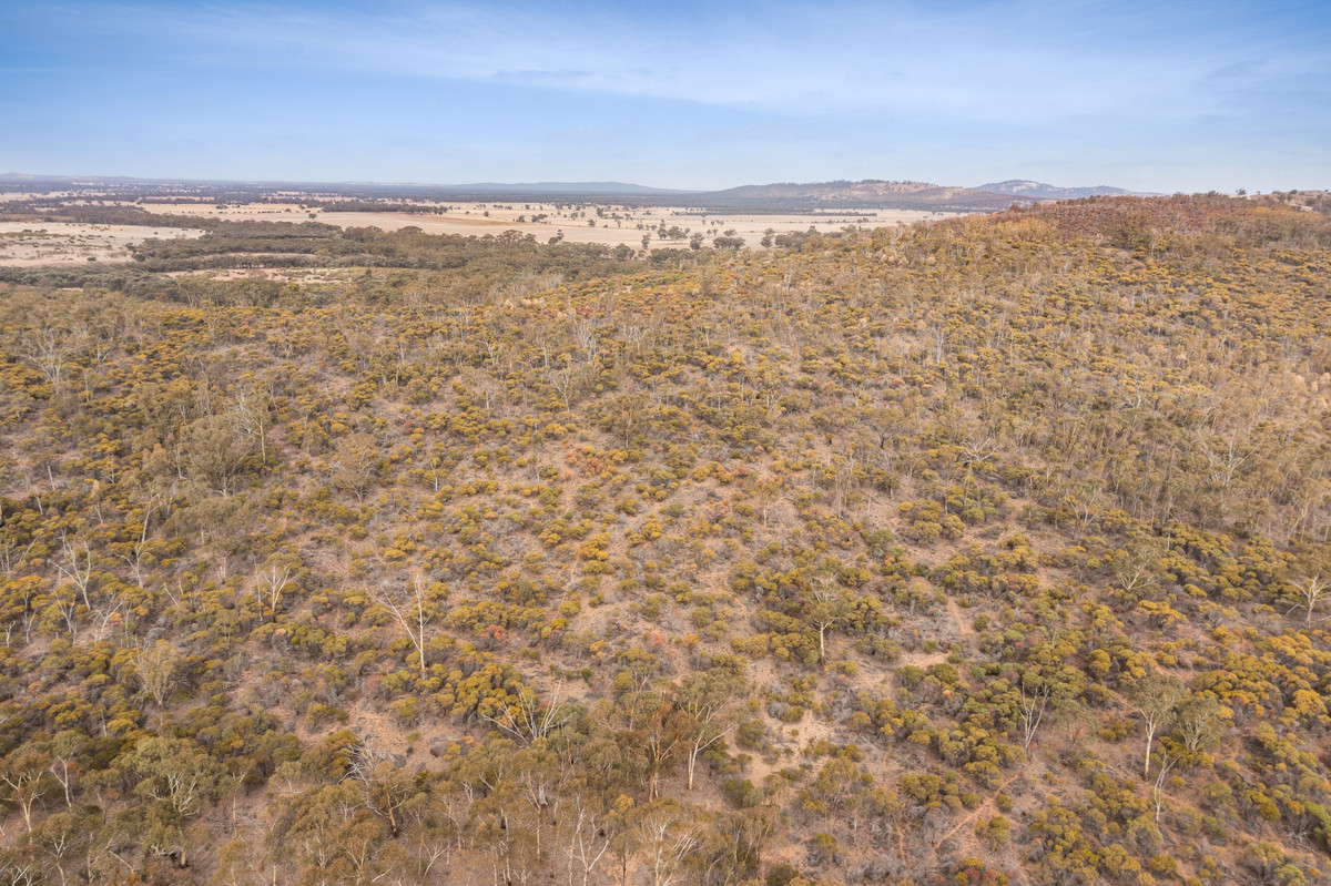 Sec 15 Mitchell Lane, Wedderburn, Vic, 3518 - Image 7