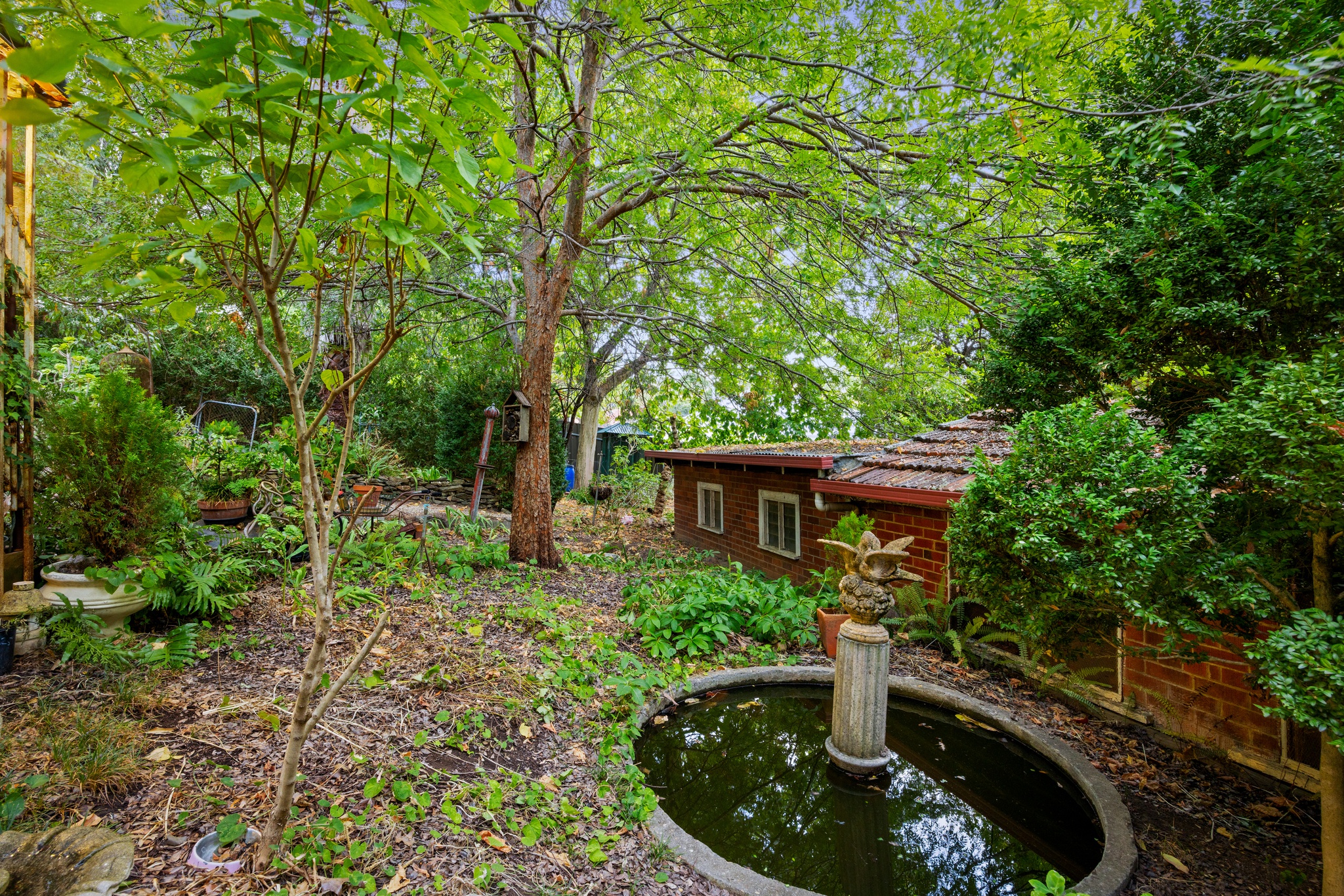 3-bedroom house at 534 COWPER STREET, Albury NSW 2640, Albury, New South Wales