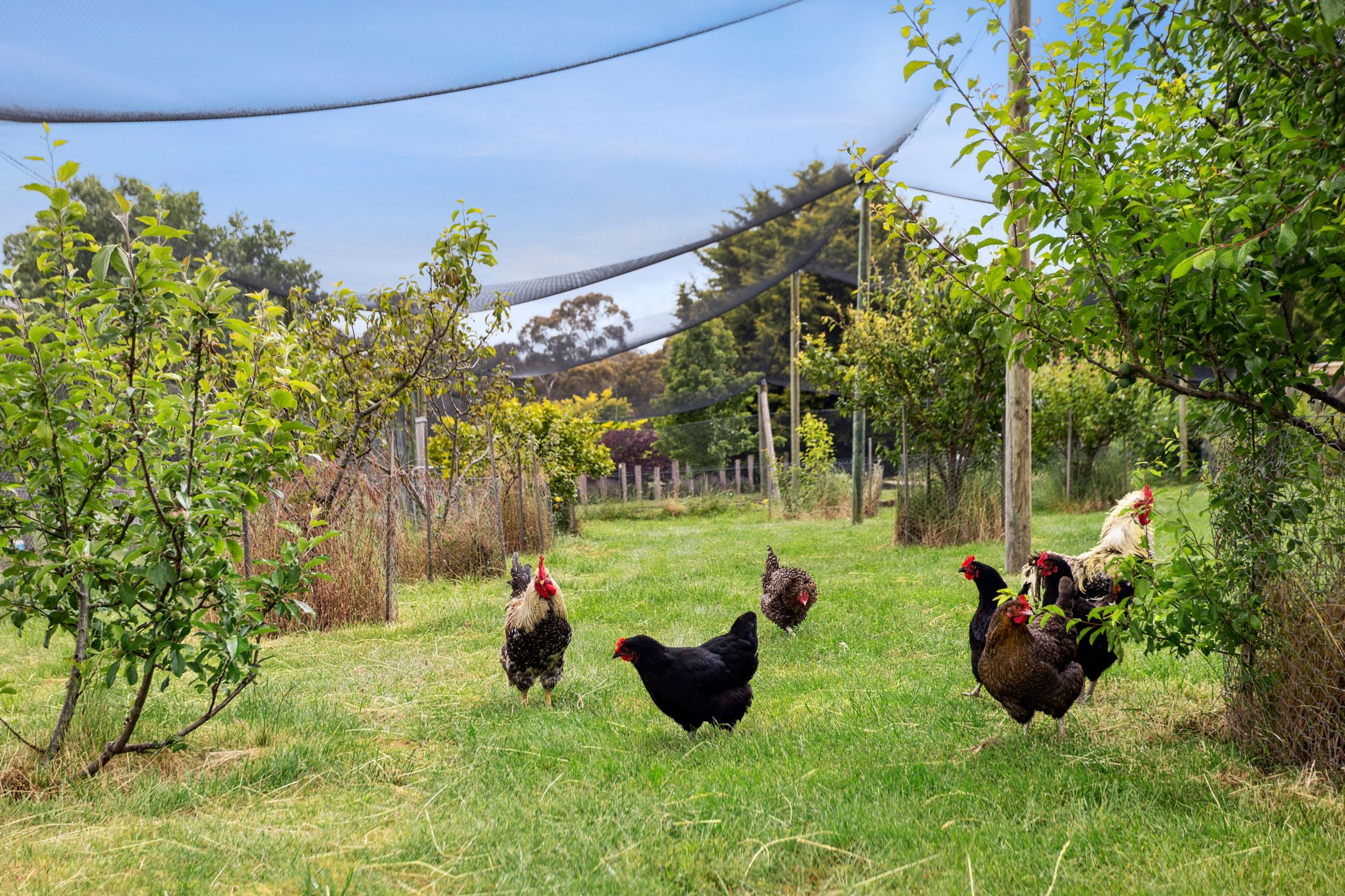 4-bedroom house at 94 Verekers Lane, Kyneton, VIC 3444, Macedon Ranges, Victoria
