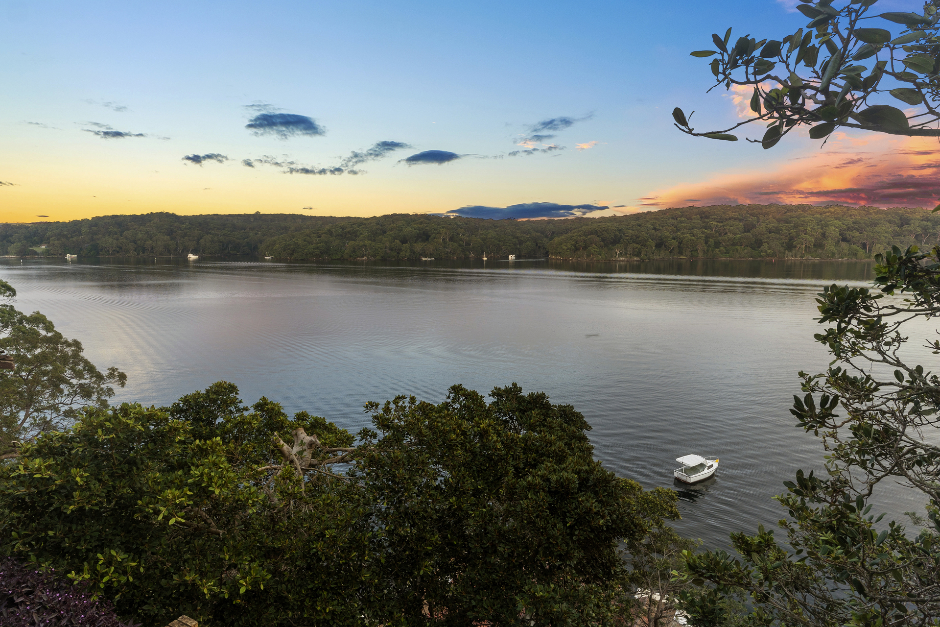 539 WILLARONG ROAD, Caringbah South NSW 2229 - Image 4