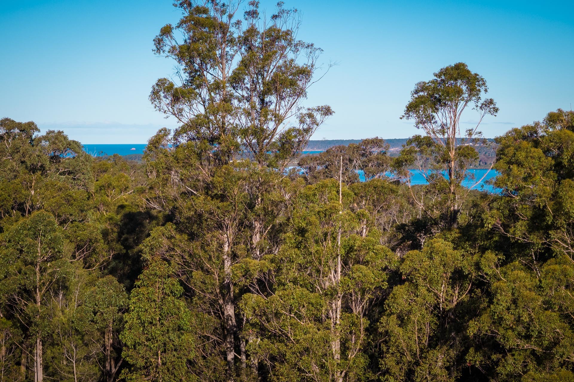 16 Millingandi Short Cut Road, Millingandi, Nsw, 2549 - Image 2
