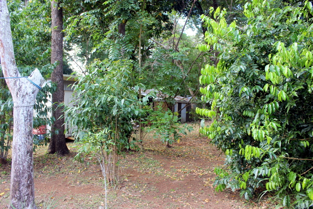 1-bedroom house at 2125-2159 Endeavour Valley Rd, Cooktown, Qld, 4895, Cook, Queensland