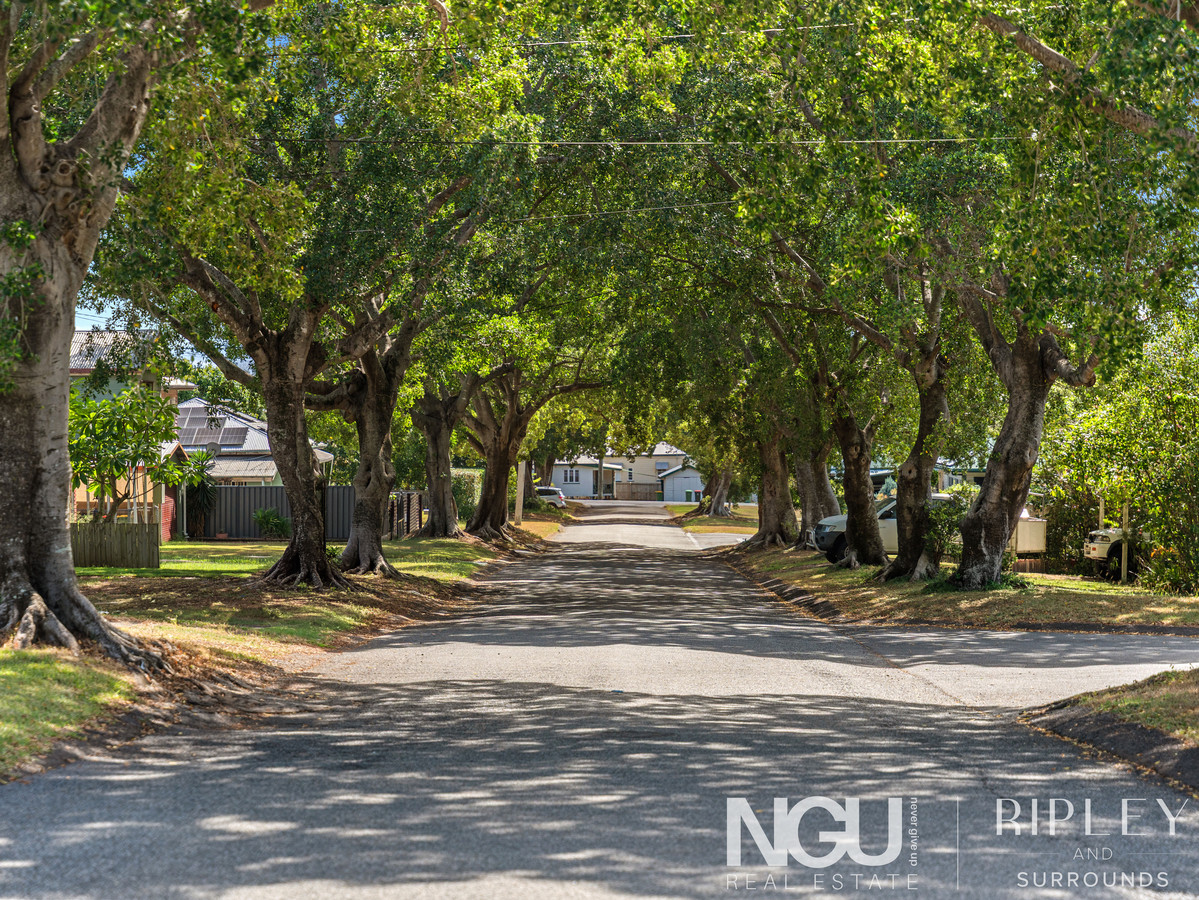 13 OLMAI AVENUE, Eastern Heights QLD 4305 - Image 5