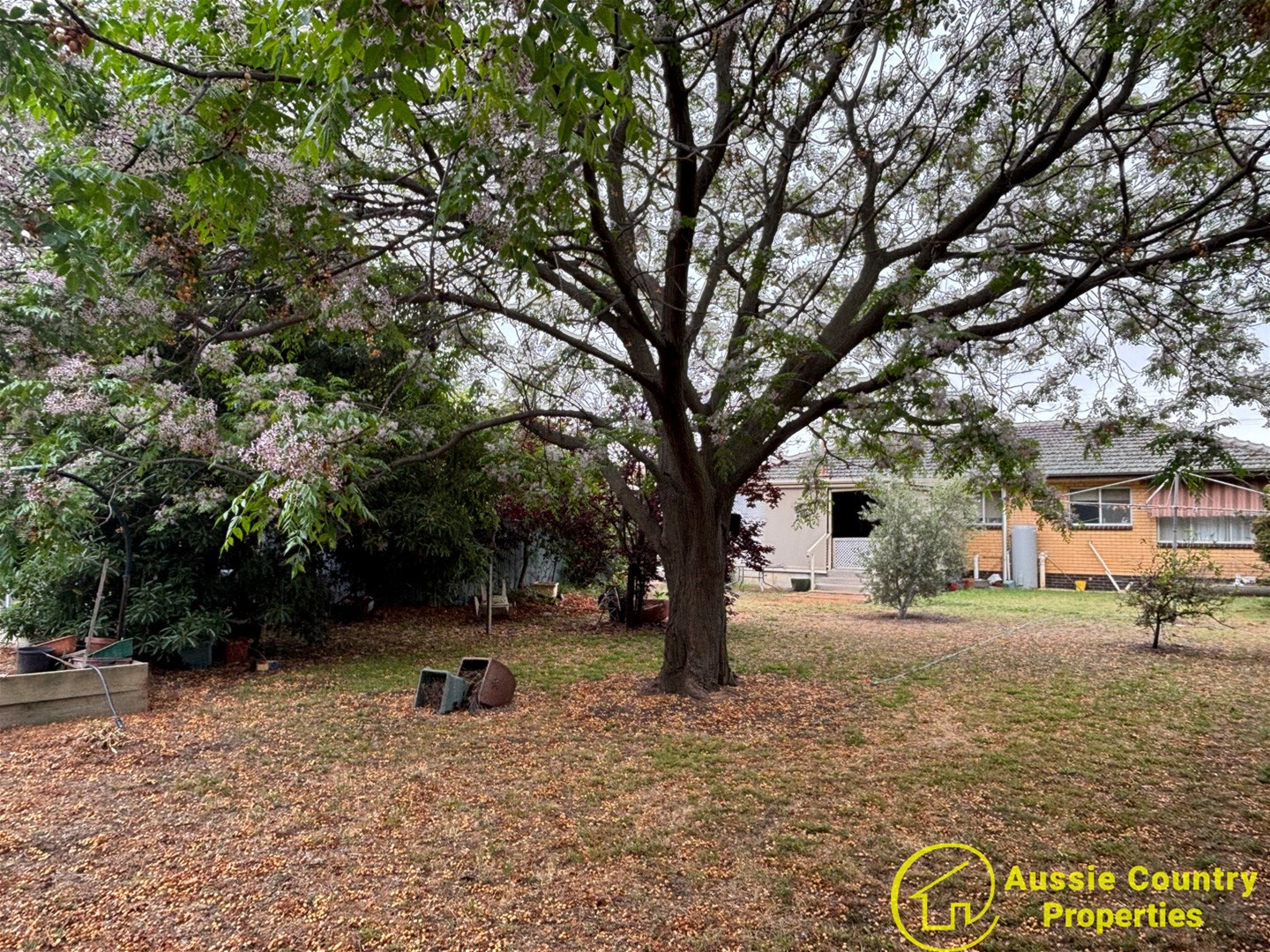 3-bedroom house at 51 COBRAM STREET, Berrigan NSW 2712, Berrigan, New South Wales