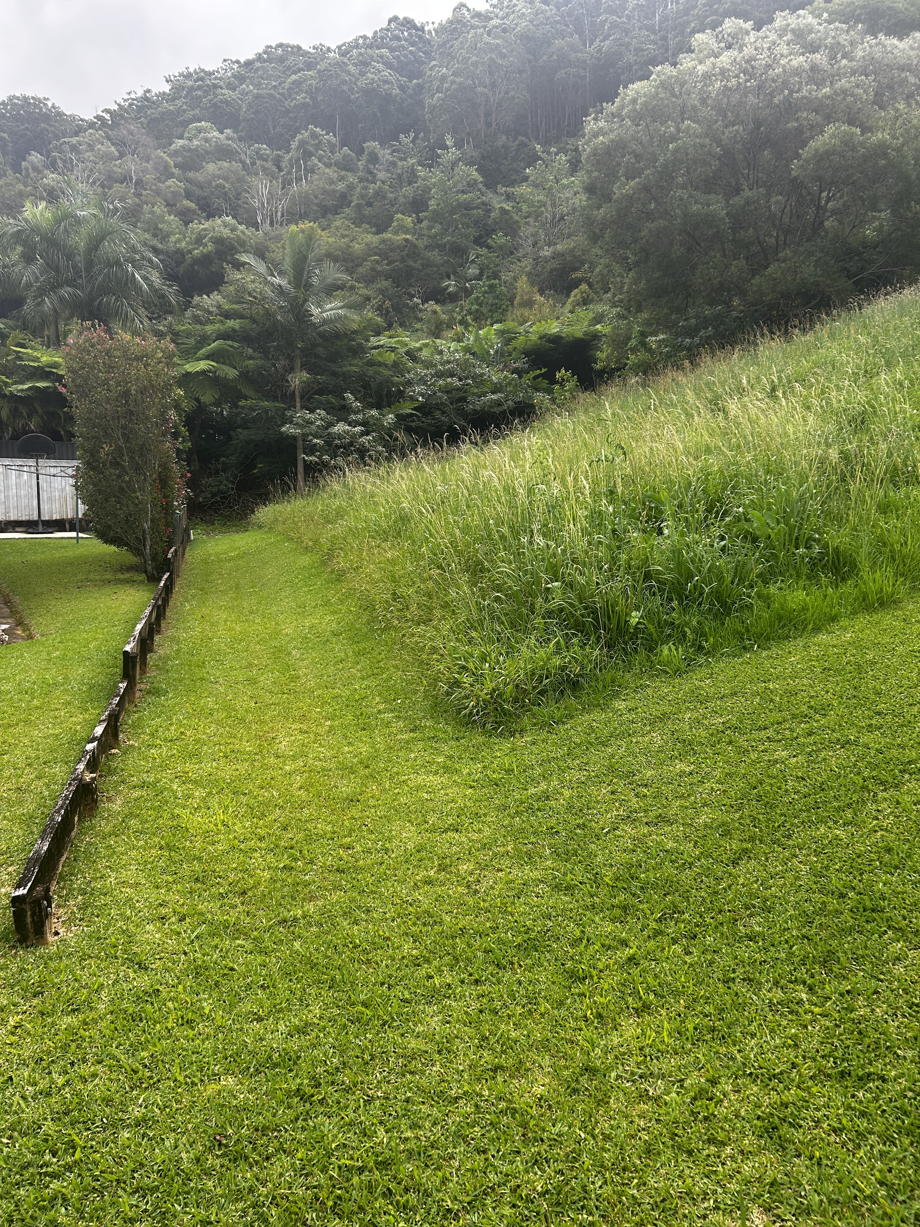 8 Gallagher Place, Coffs Harbour, NSW 2450 - Image 2