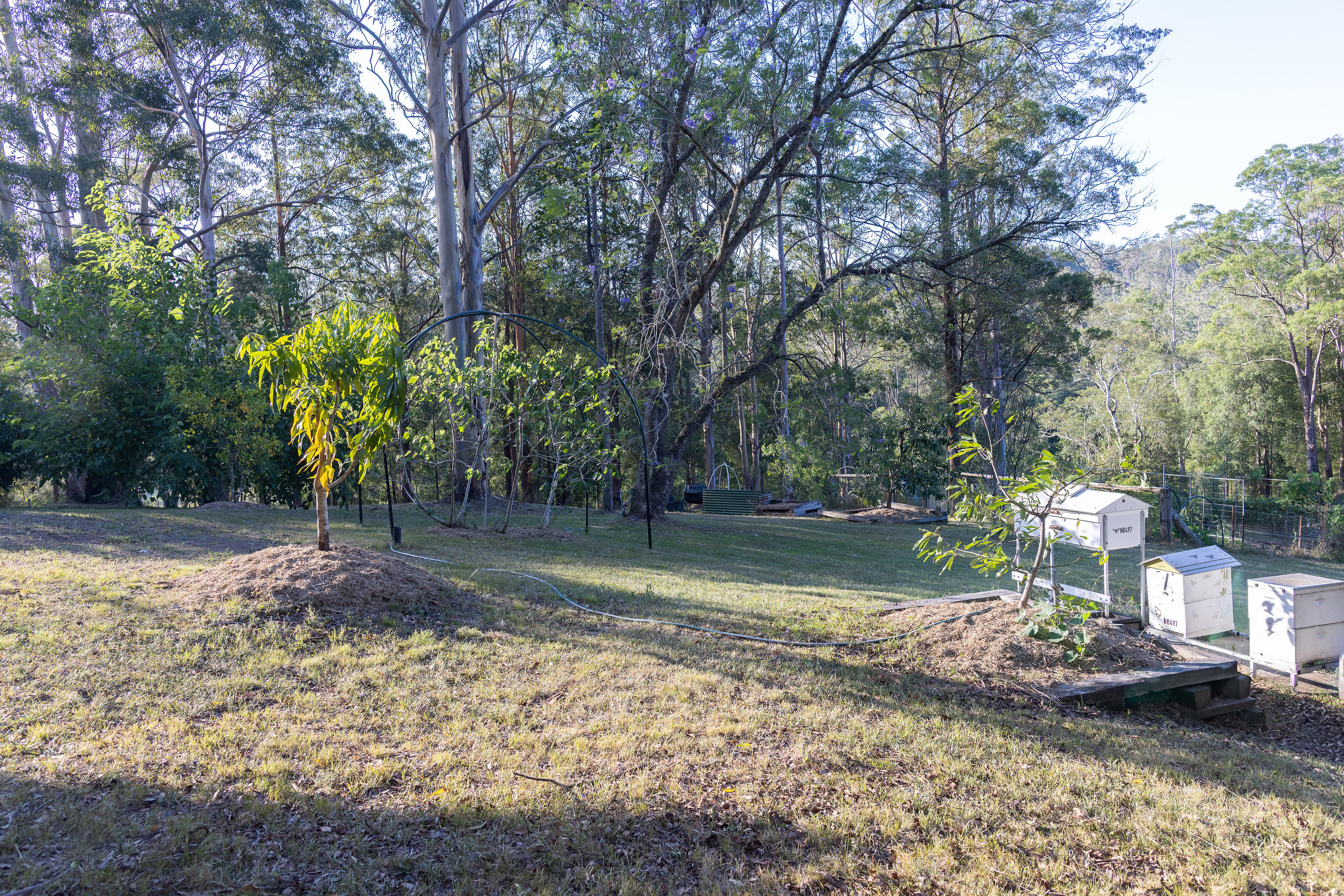 2-bedroom house at 170 Kippax Road, Kippaxs, NSW 2429, Mid-Coast, New South Wales