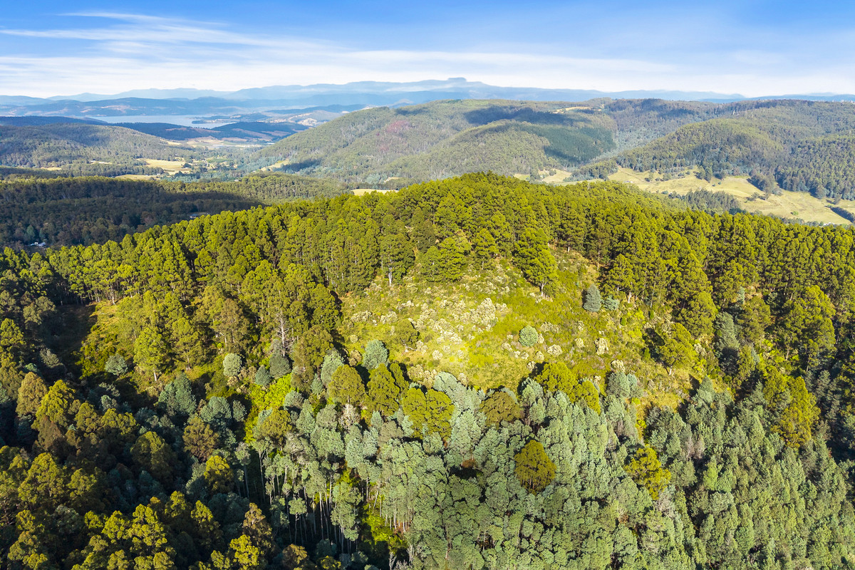3 Nicholls Rivulet Road, Nicholls Rivulet, Tas, 7112 - Image 5